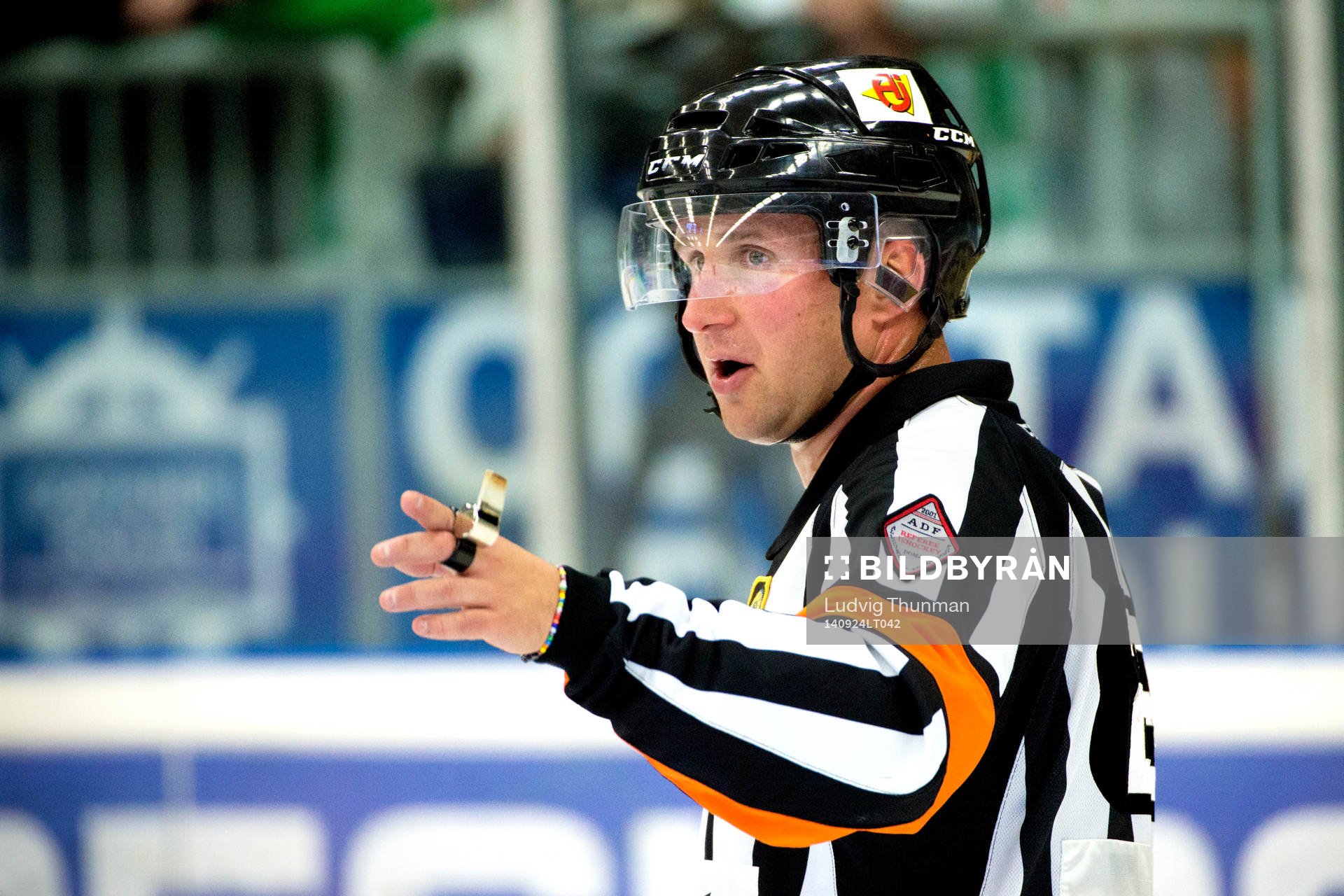 Domare Christoffer Karlsson