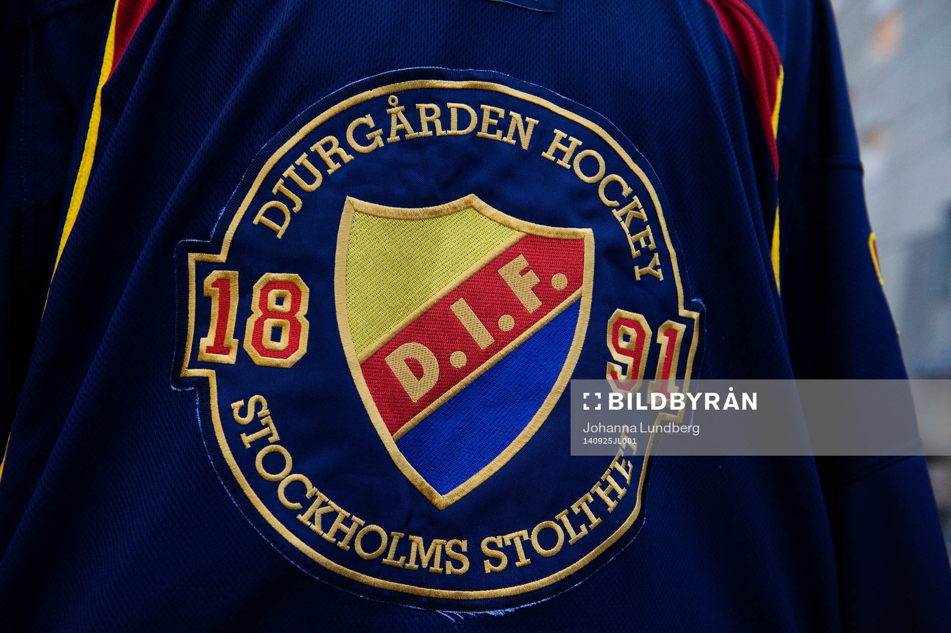 En supporter har en hockeytröja på sig med Djurgårdens