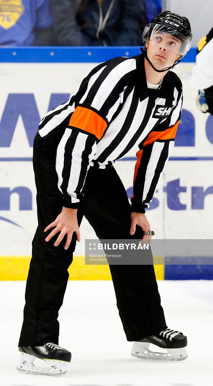 Domaren Mikael Andersson
