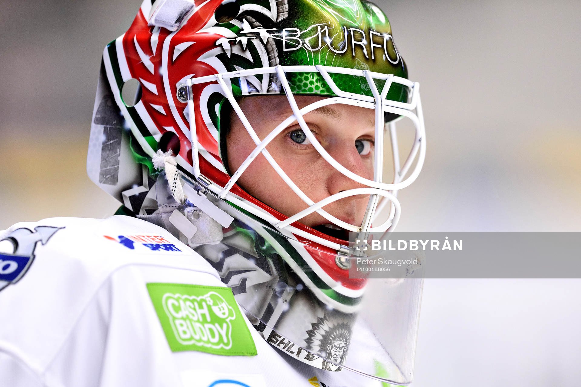 Frölundas målvakt Lars Johansson