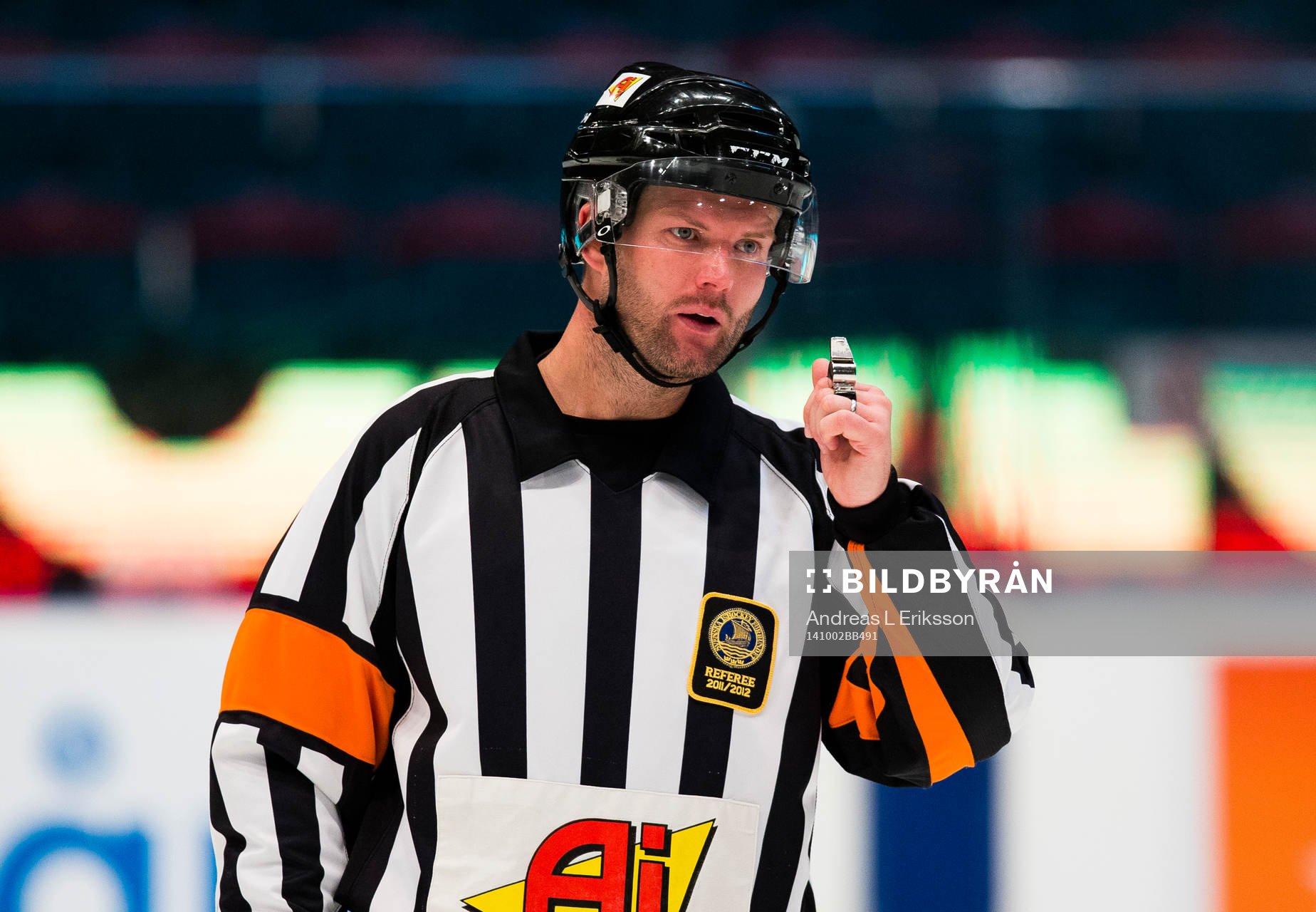 Domare David Bergman