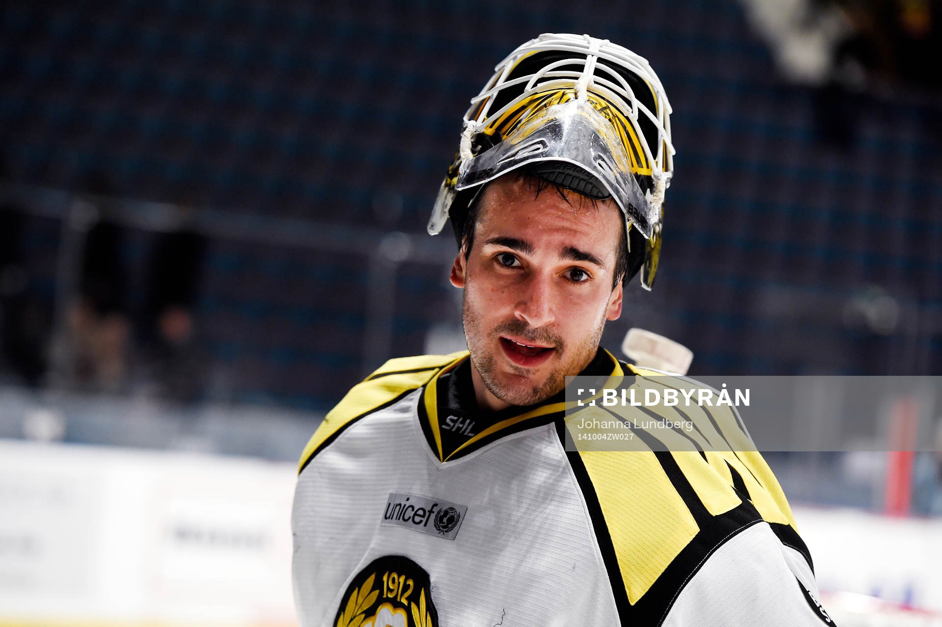 Brynäs målvakt Bernhard Starkbaum