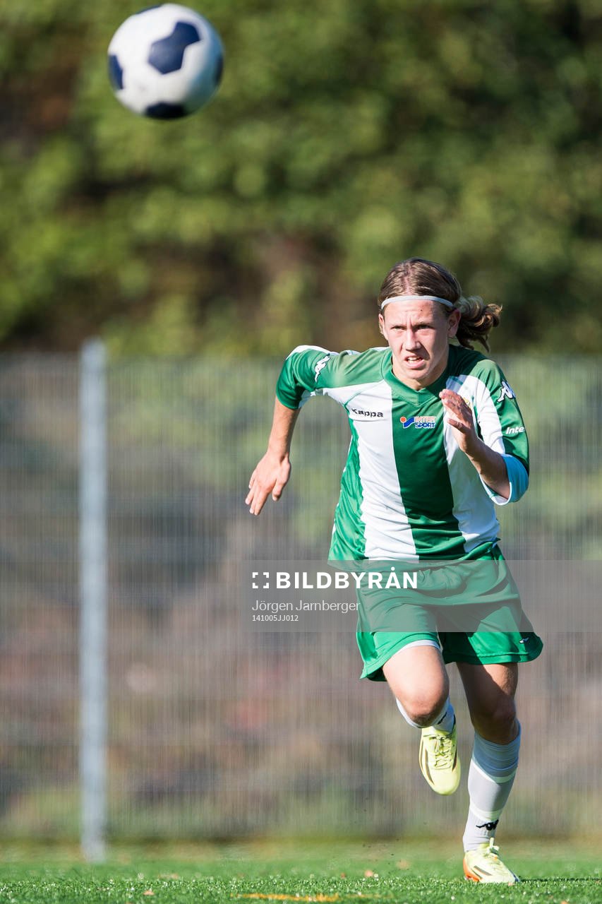 Hammarbys Brasse Wallefelt