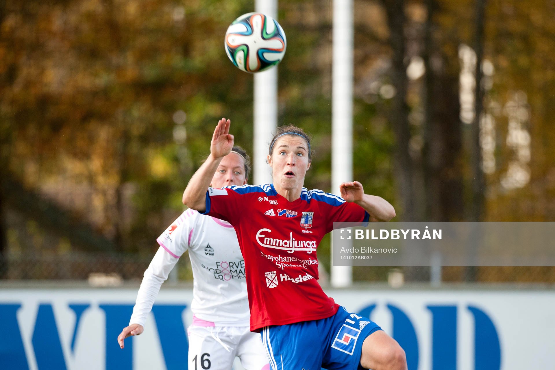 Vittsjös Jane Ross