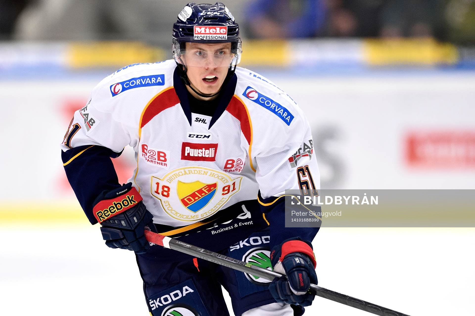 Djurgårdens Markus Ljung