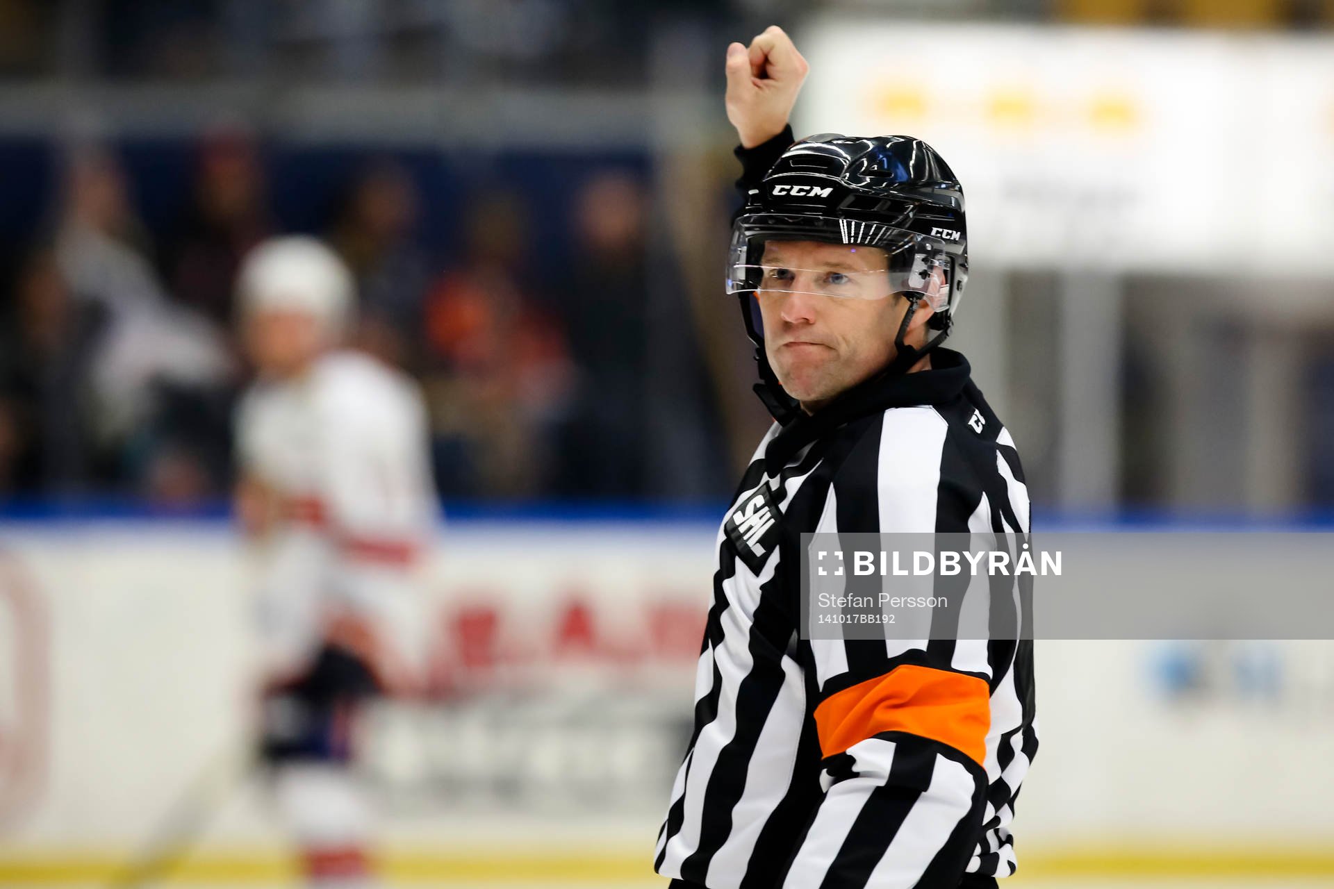 Domaren Wolmer Edqvist
