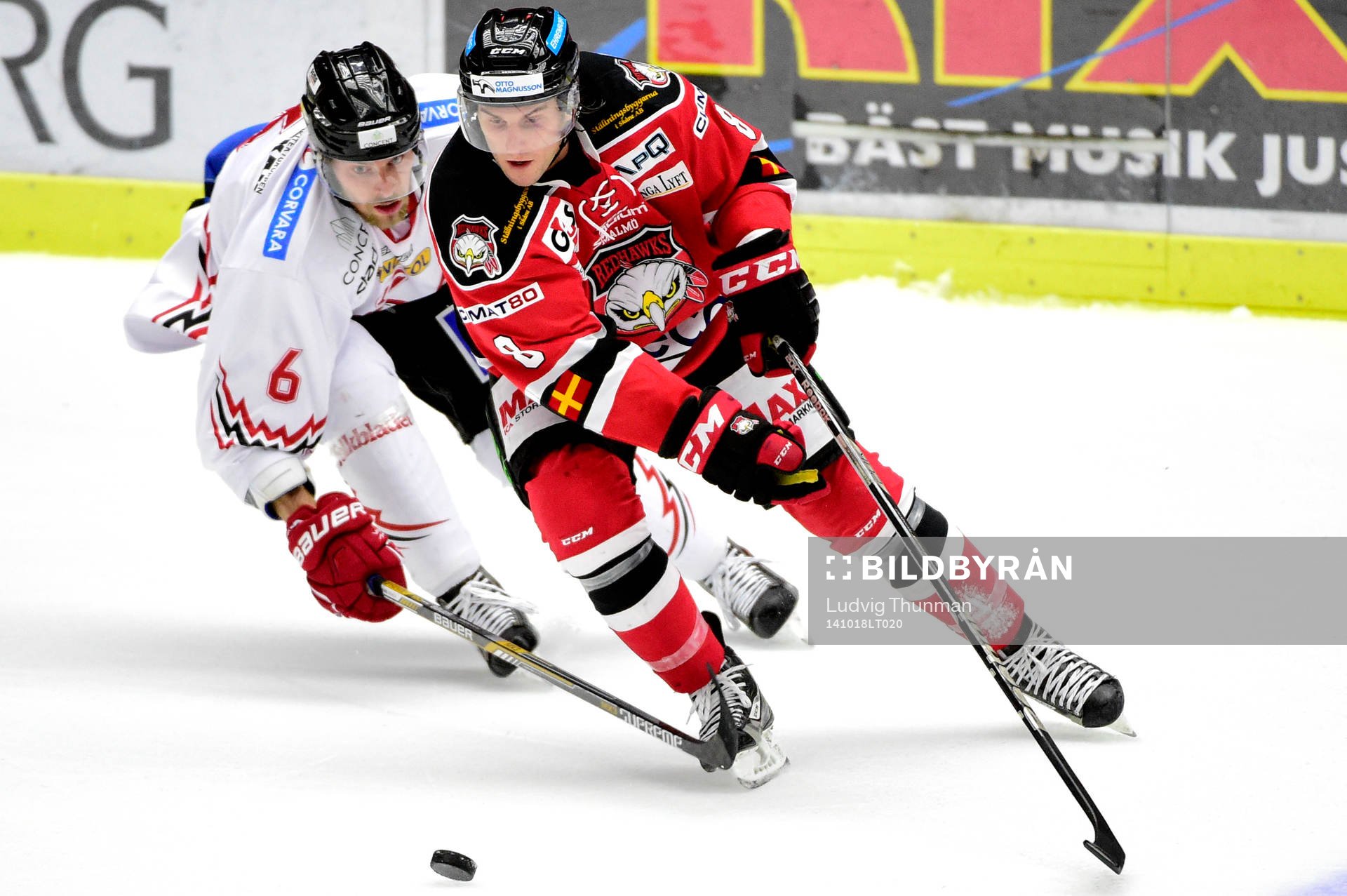 Vita Hästens Morgan Hassel och Malmö Redhawks Tony Romano