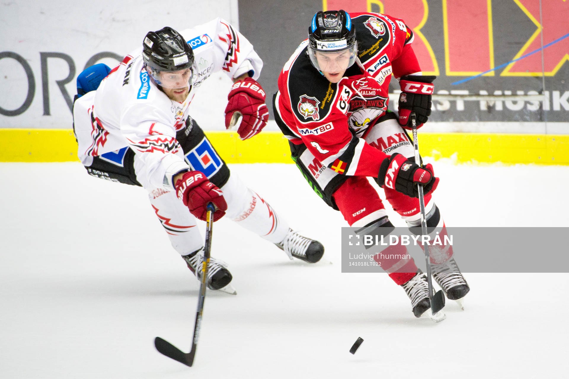Vita Hästens Morgan Hassel jagar Malmö Redhawks Tony