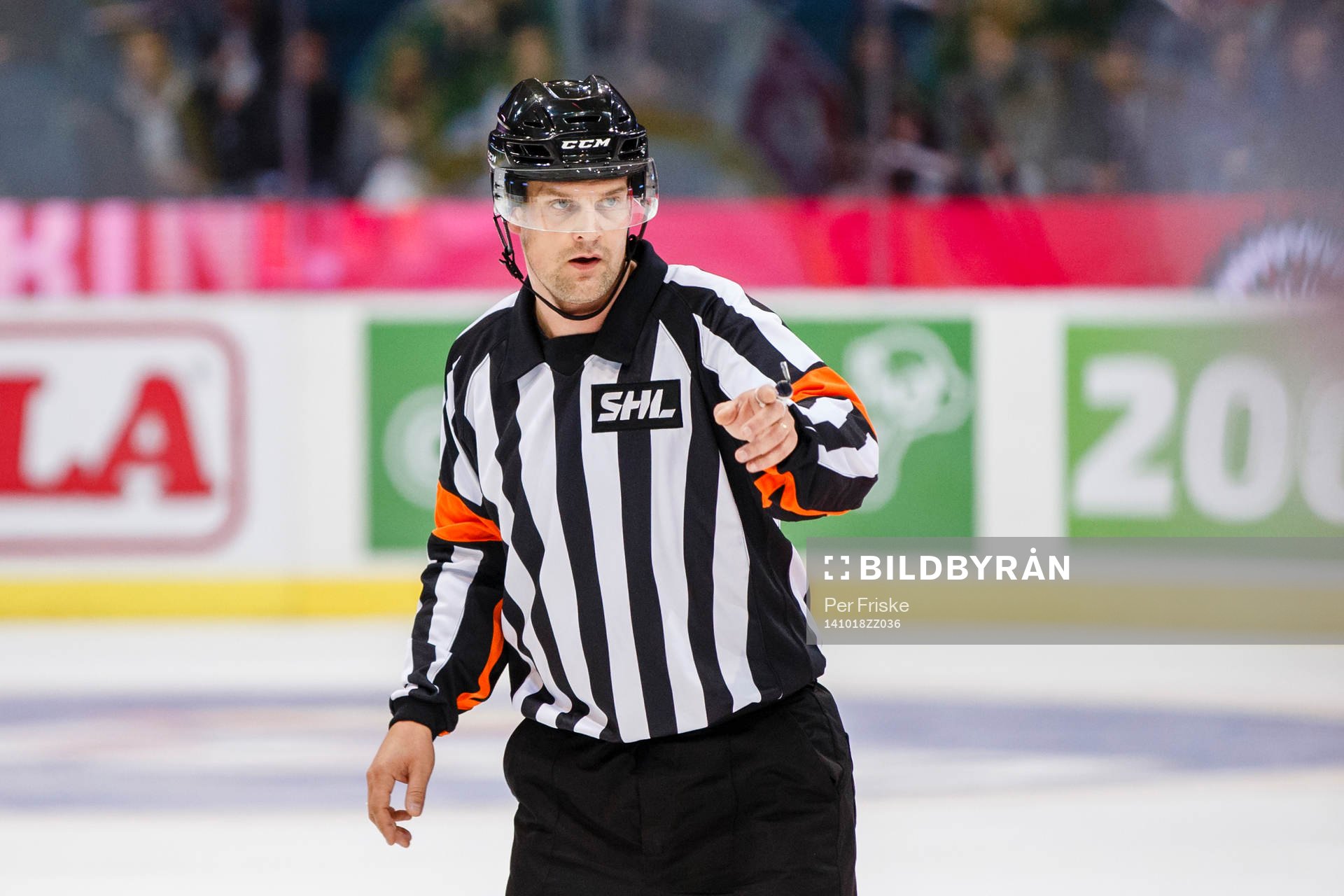 Domare Mikael Nord