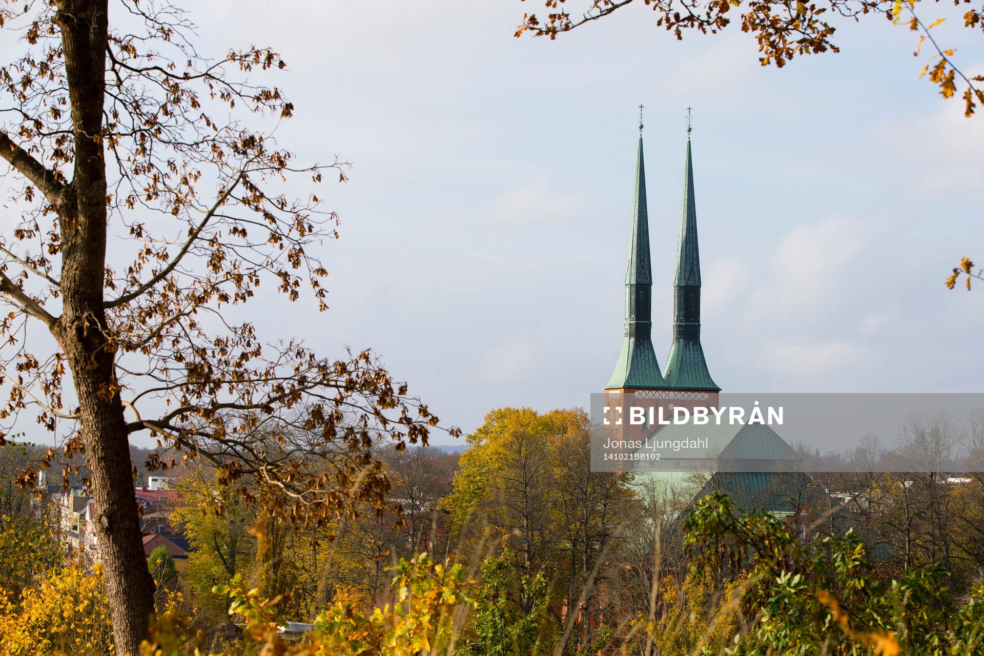 Växjö domkyrka