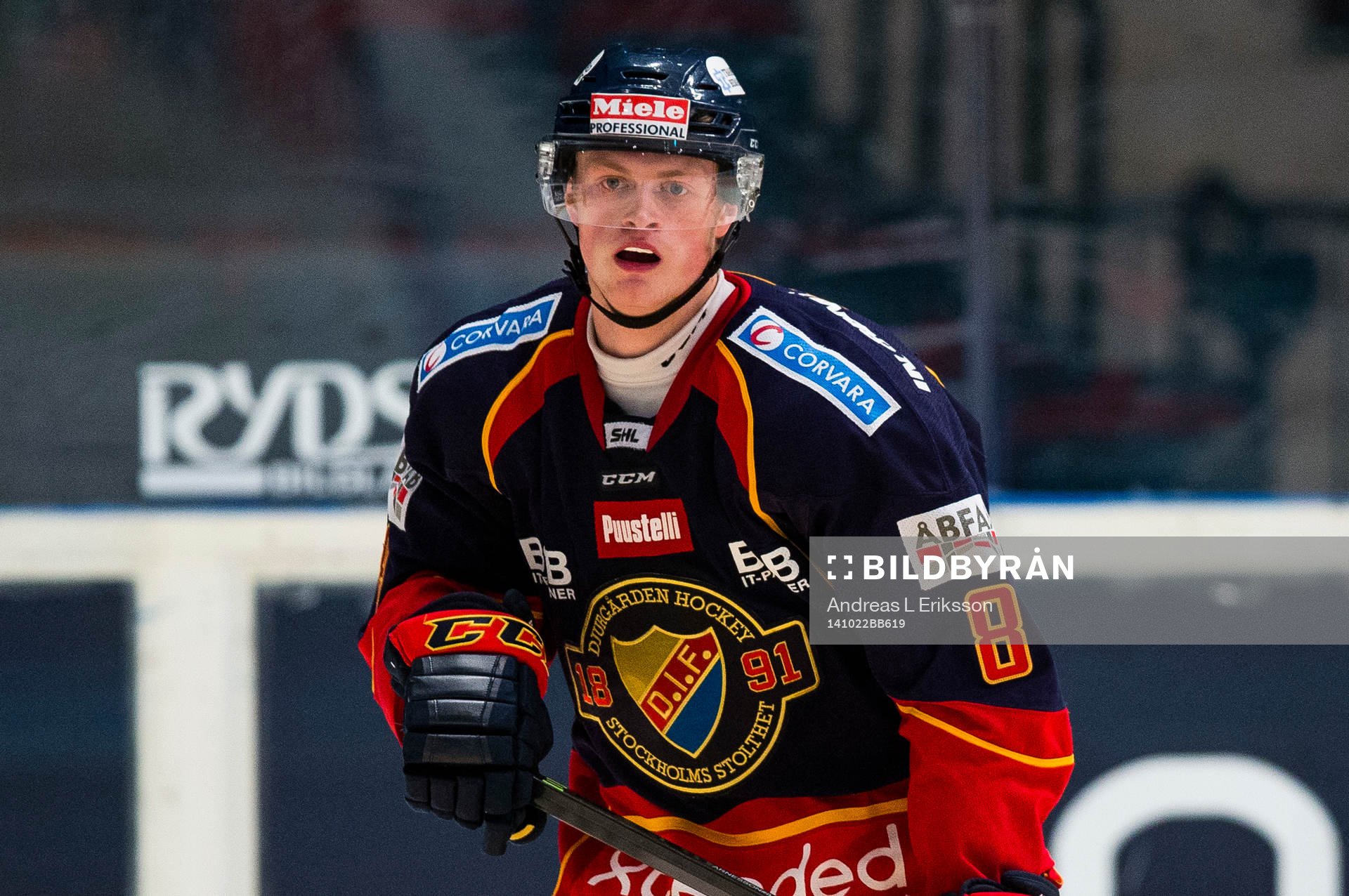 Djurgårdens Linus Arnesson