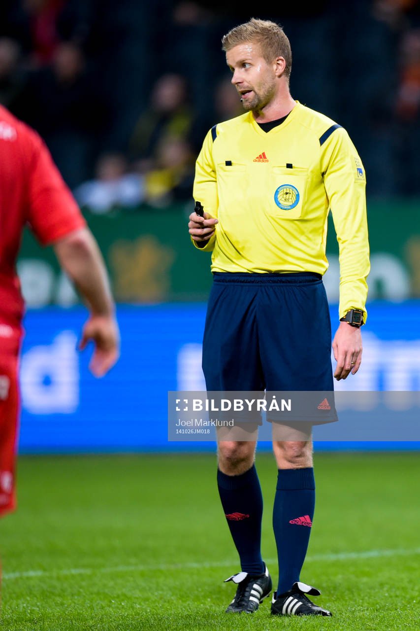 Domare Glenn Nyberg