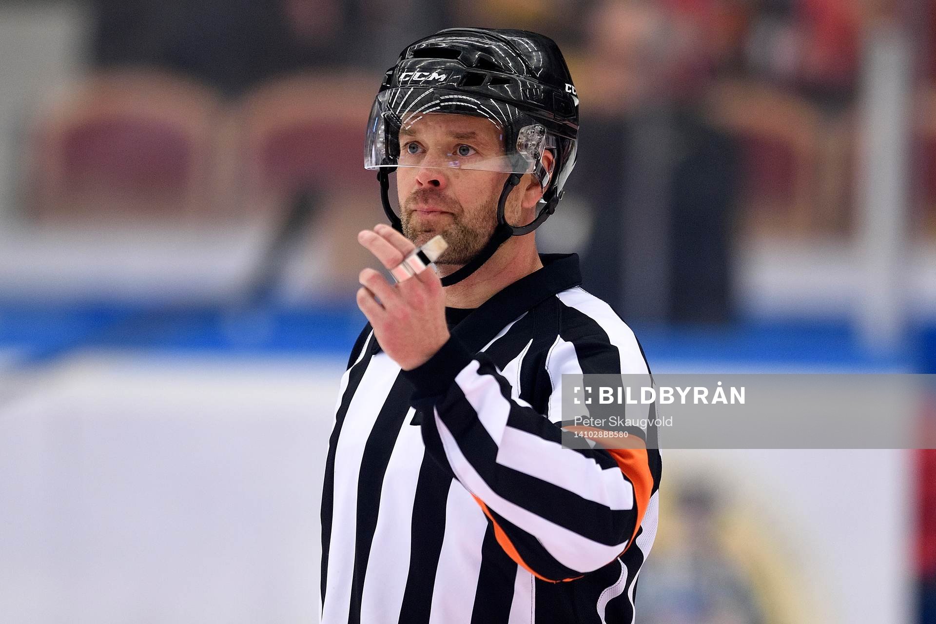 Domare Mikael Andersson