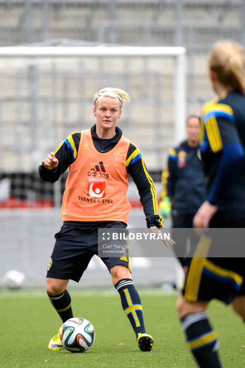 Sveriges Nilla Fischer