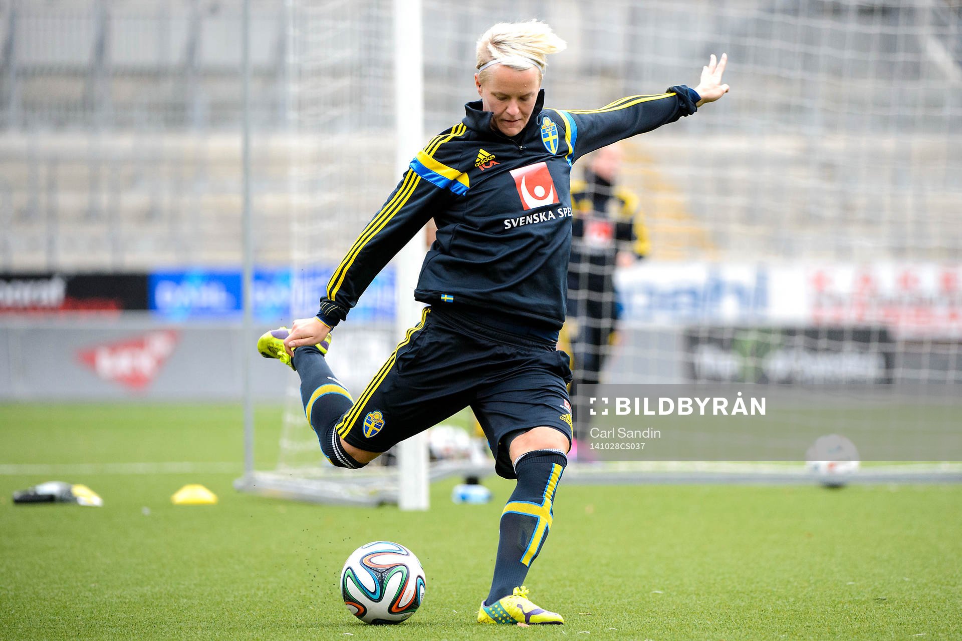Sveriges Nilla Fischer