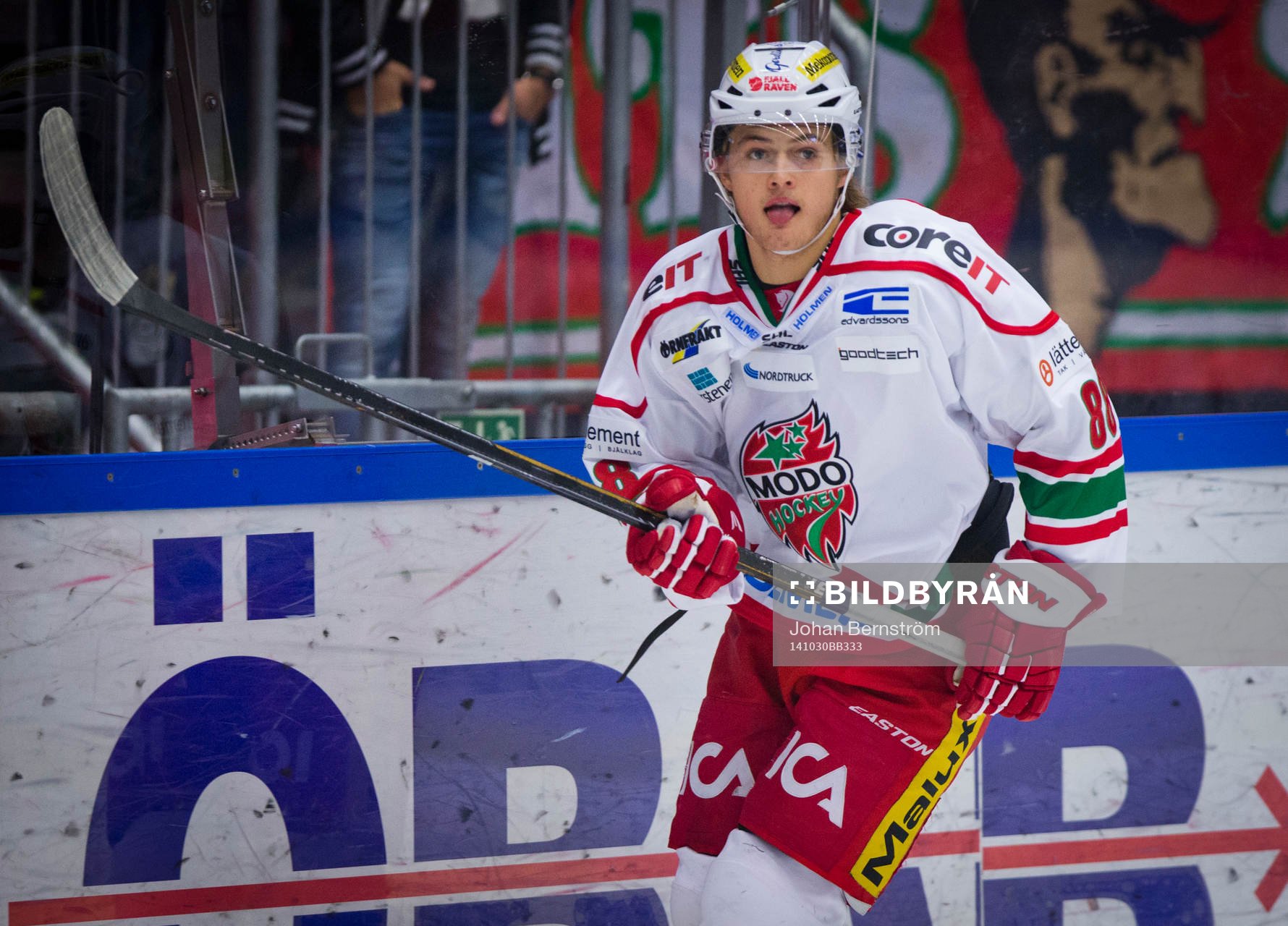 Modos William Nylander