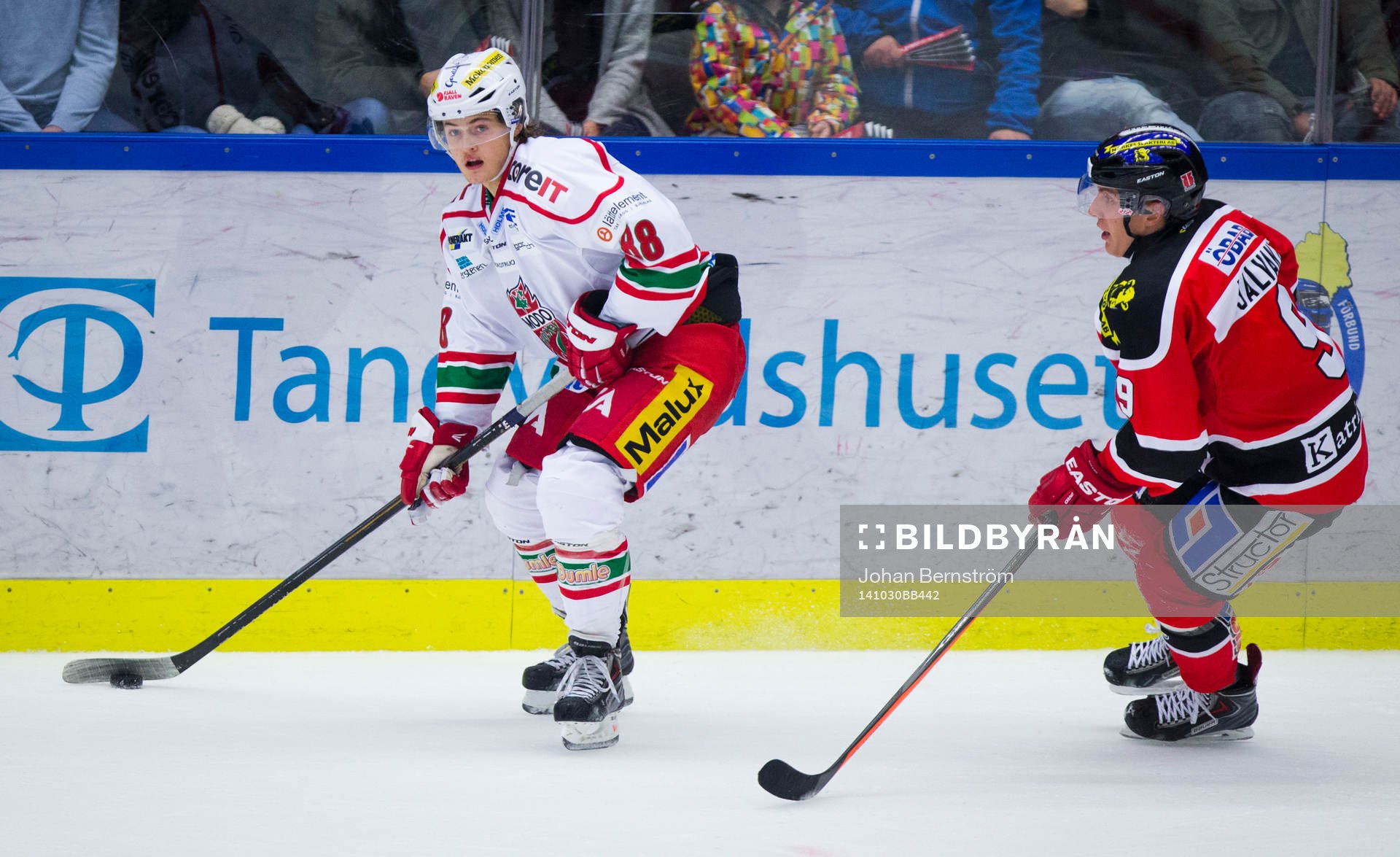 Modos William Nylander