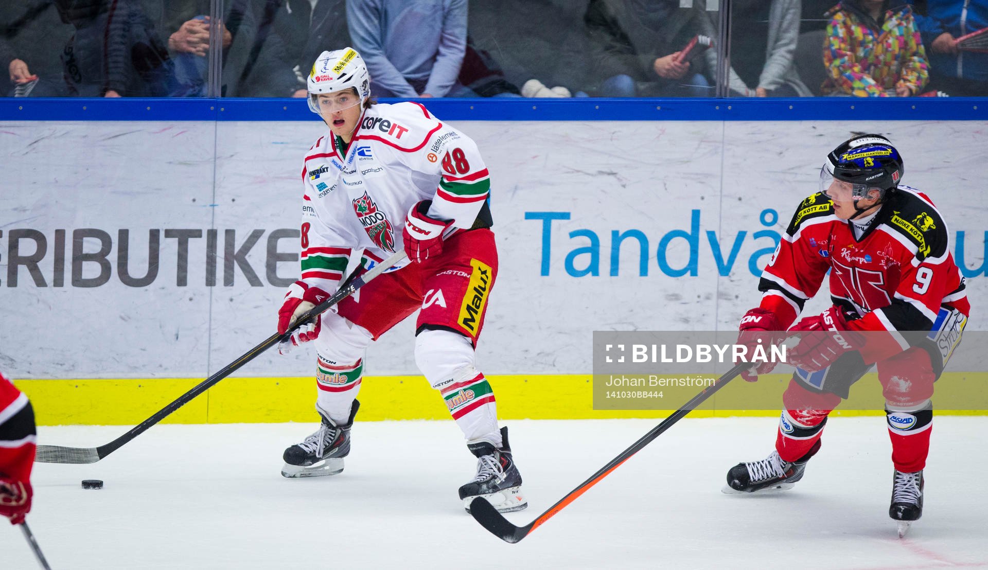 Modos William Nylander