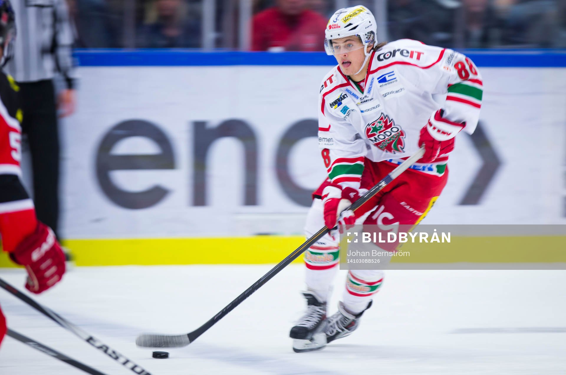 Modos William Nylander