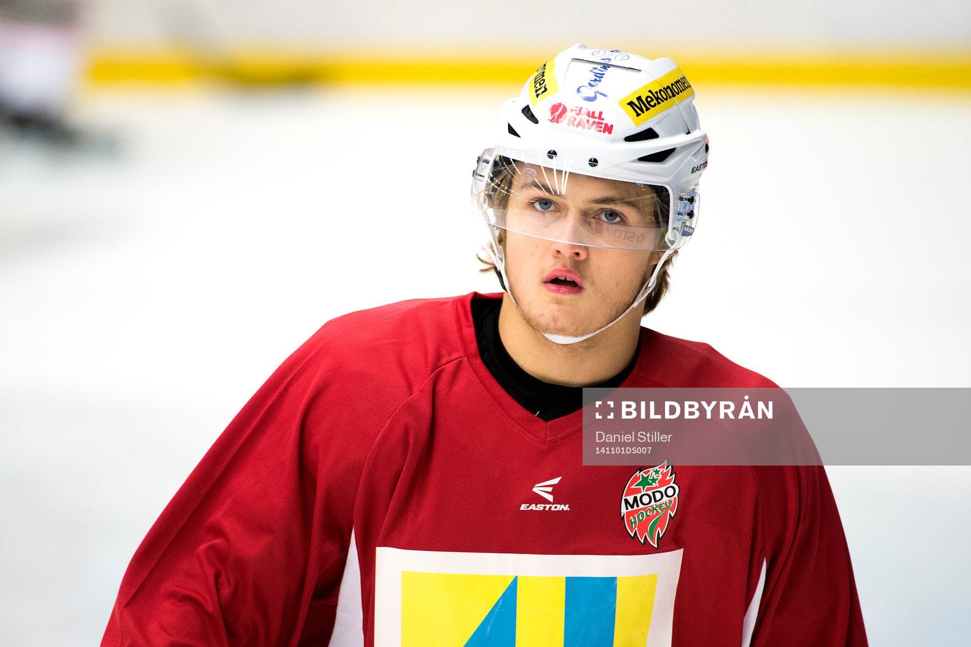 Modos William Nylander
