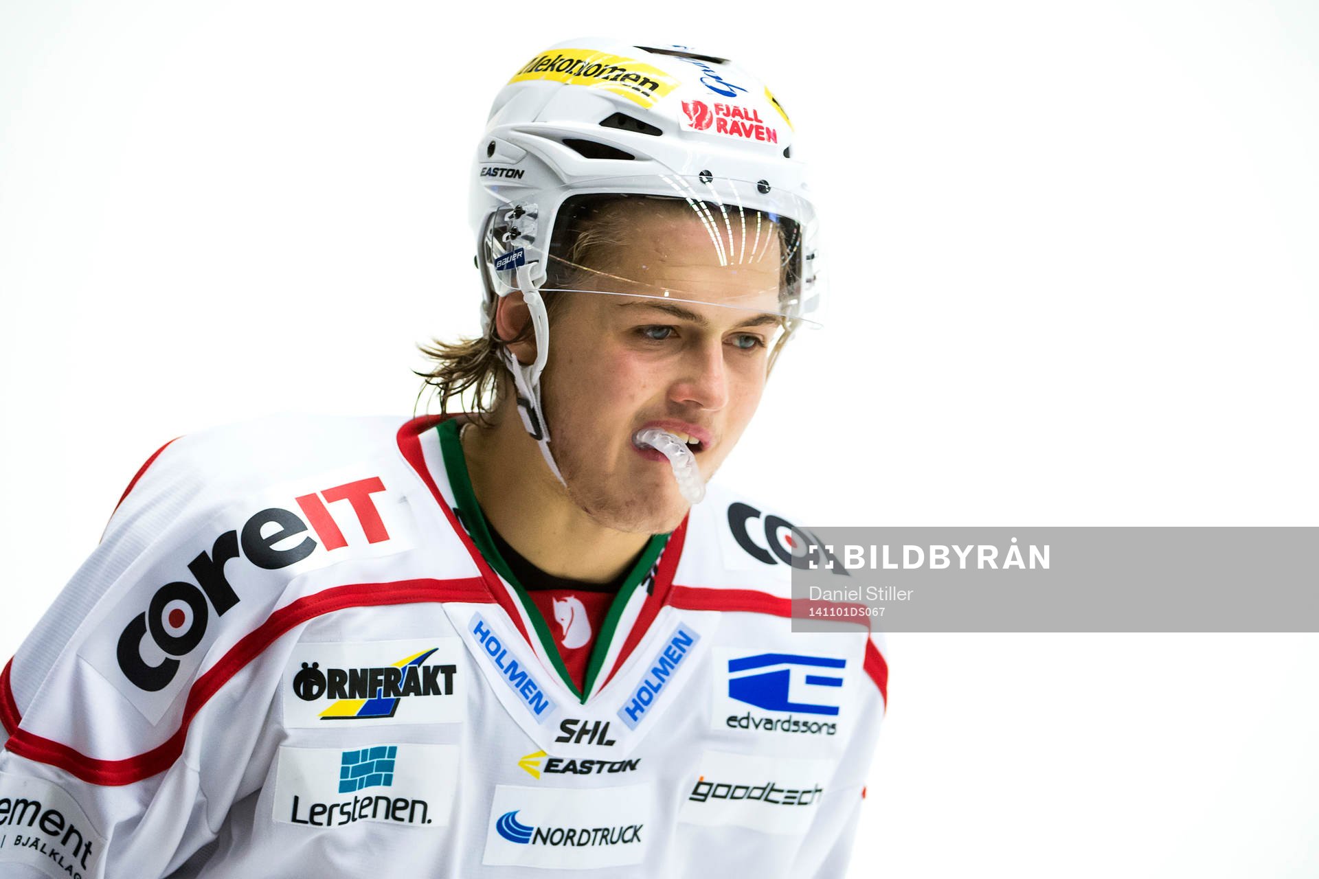Modos William Nylander