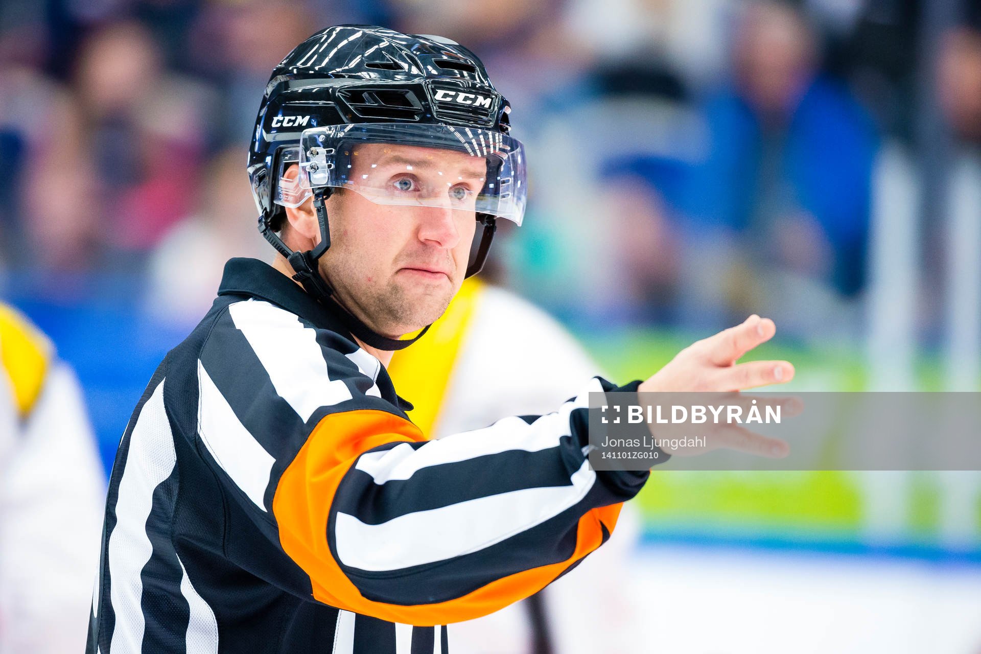 Domare Christoffer Karlsson