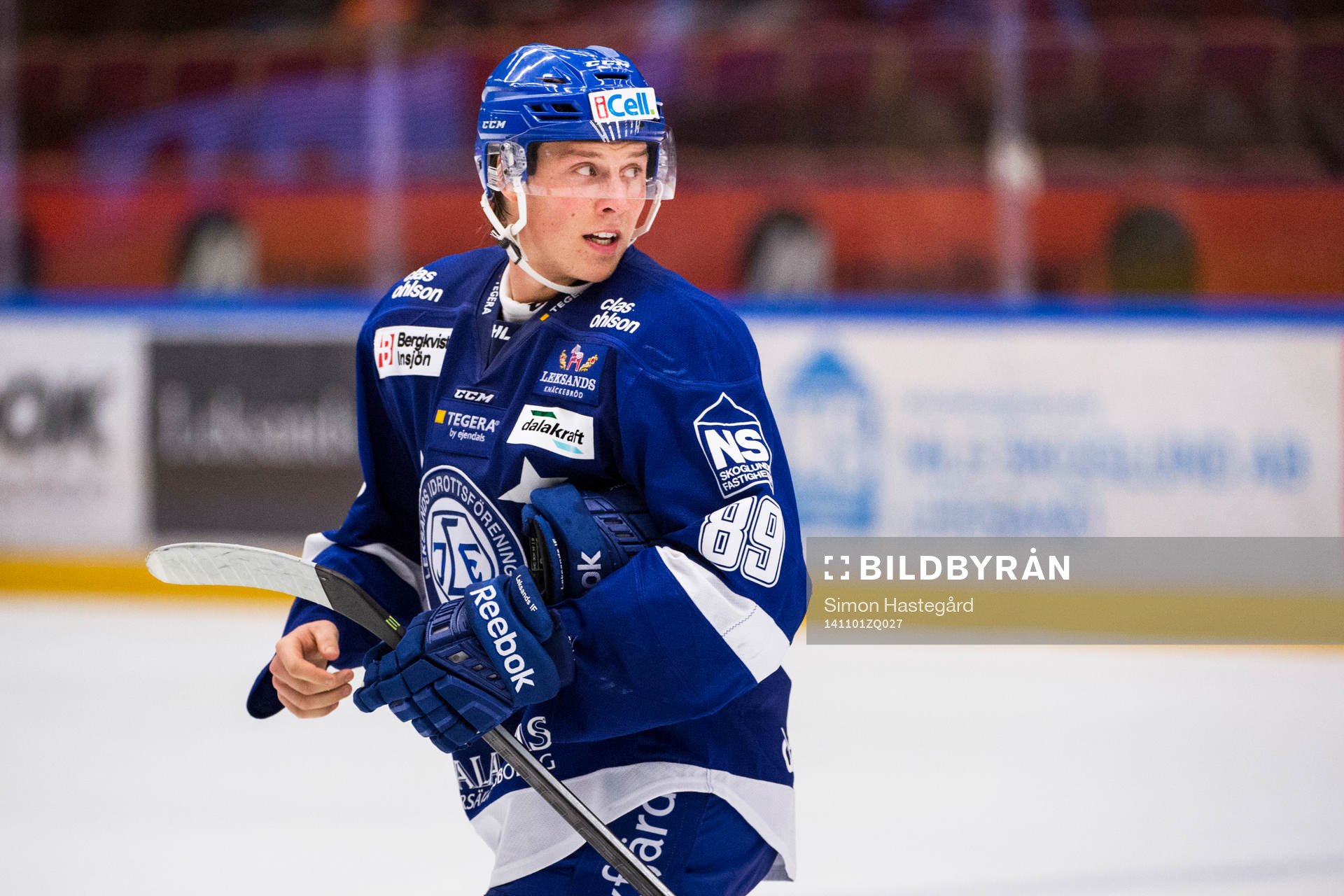 Leksands David Åslin