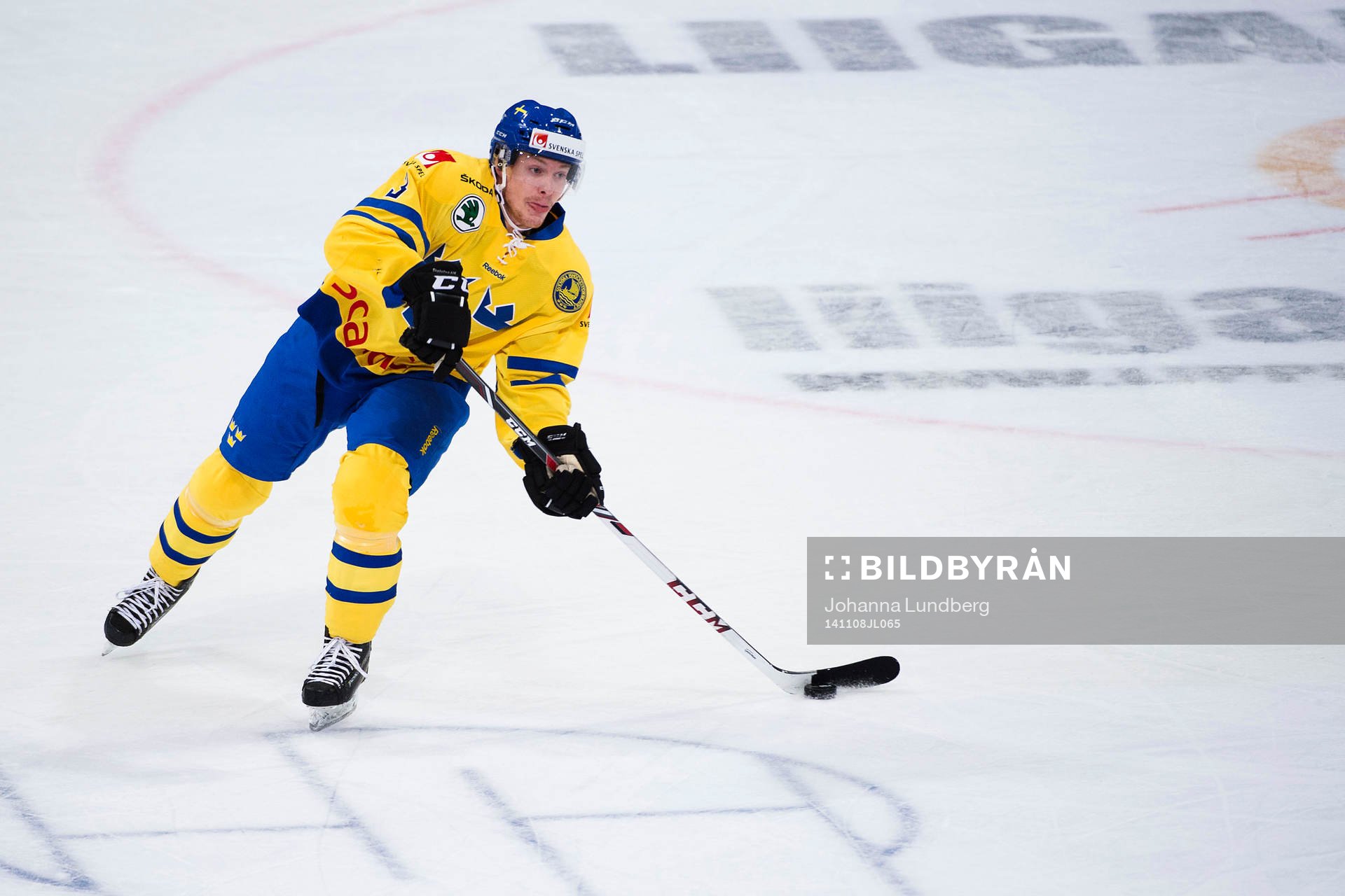 Sveriges Niclas Burström