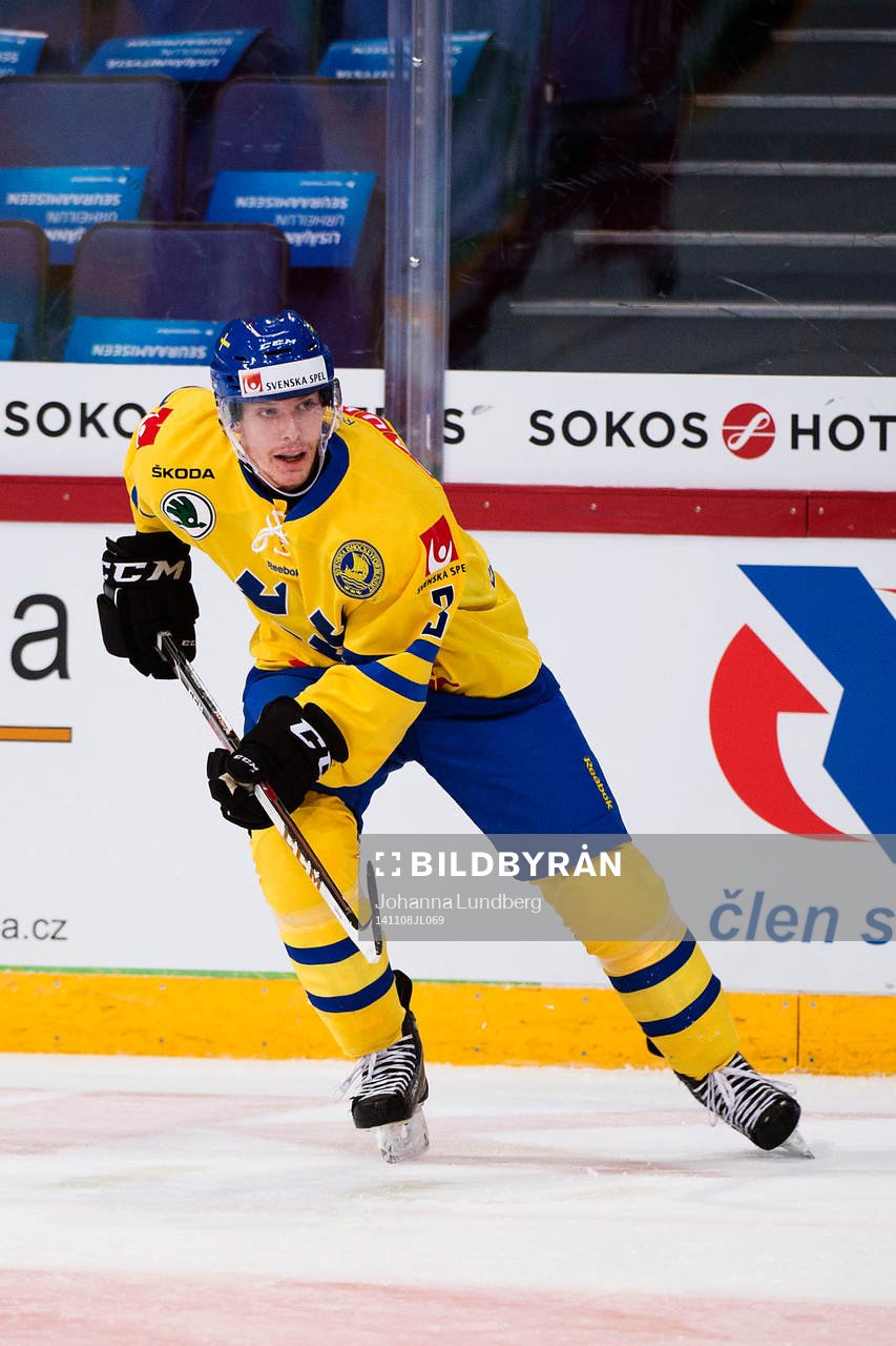 Sveriges Niclas Burström