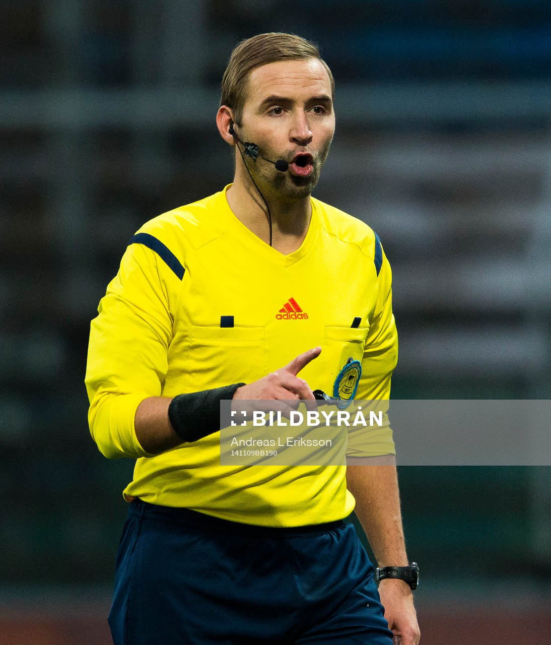 Domare Jim Petersson