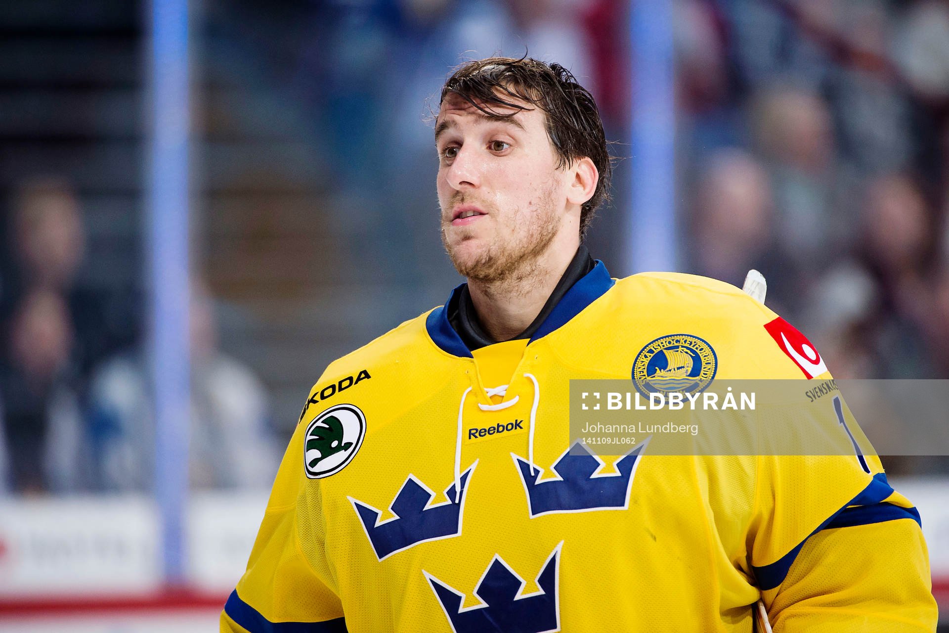 Sveriges målvakt Henrik Karlsson