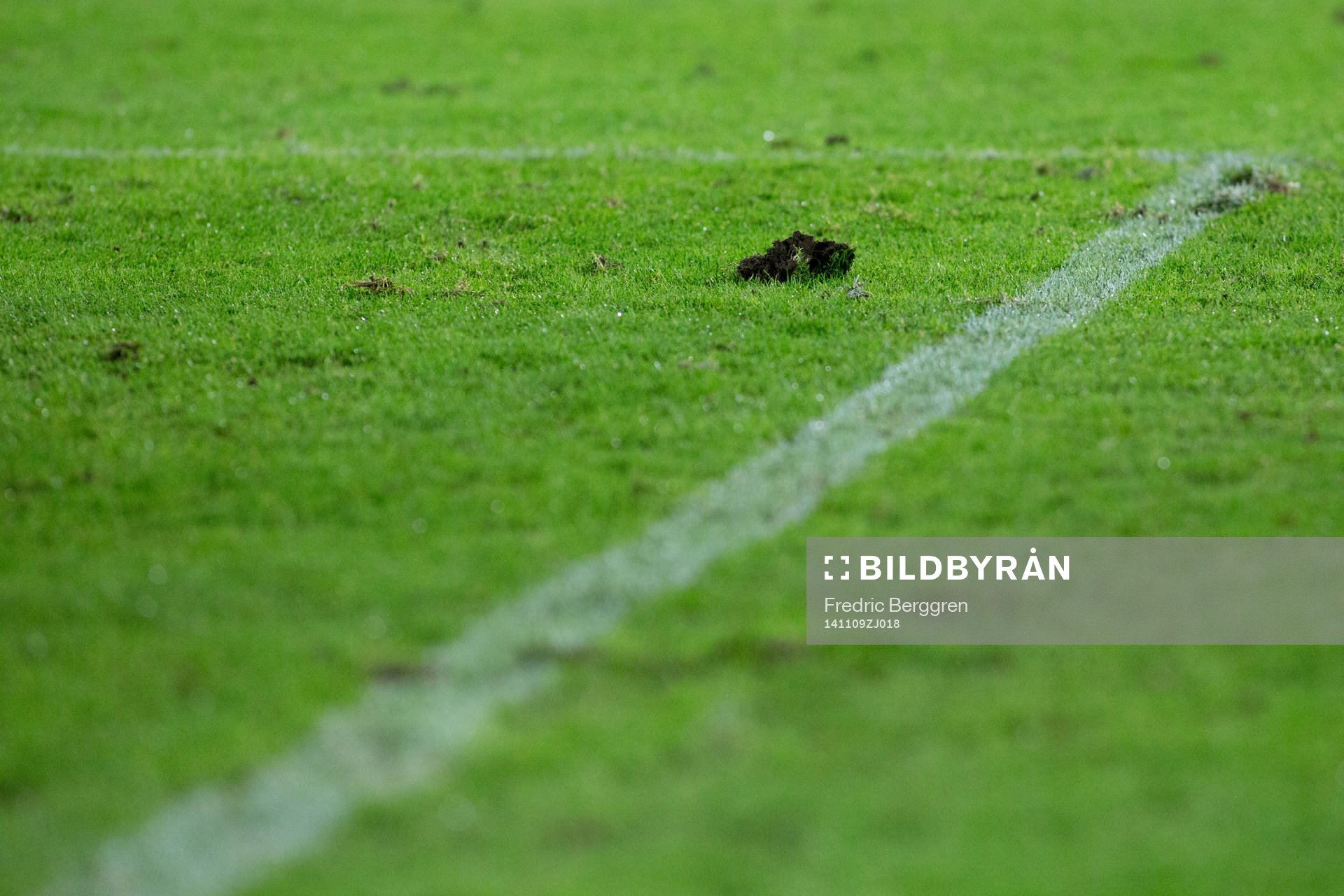 Generell gräsbild under fotbollsmatchen i Supercupen mellan Malmö och Elfsborg den 9 november 2014 i Malmö.