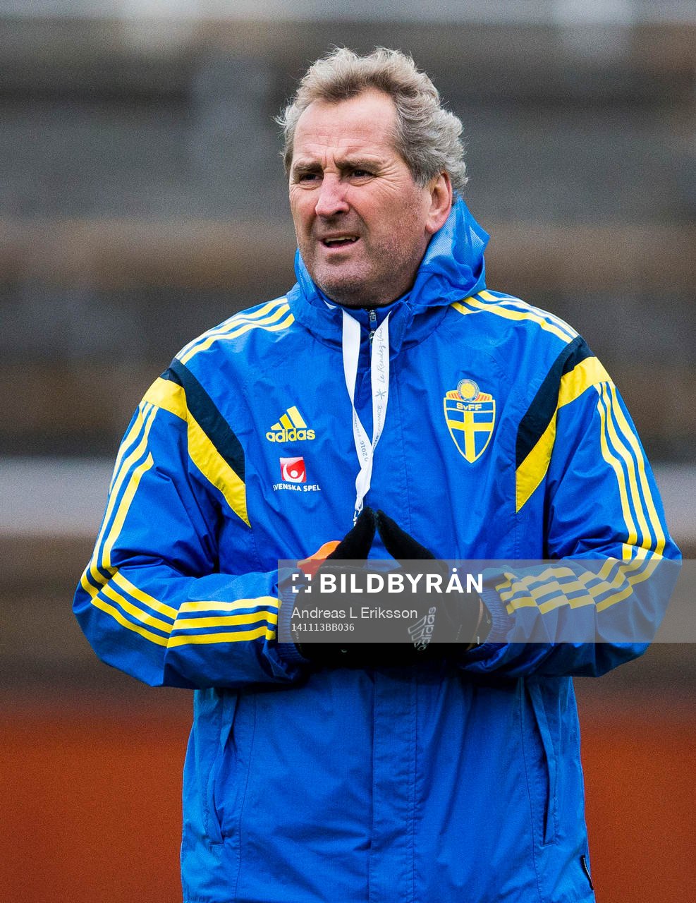 Sveriges förbundskapten Erik Hamrén