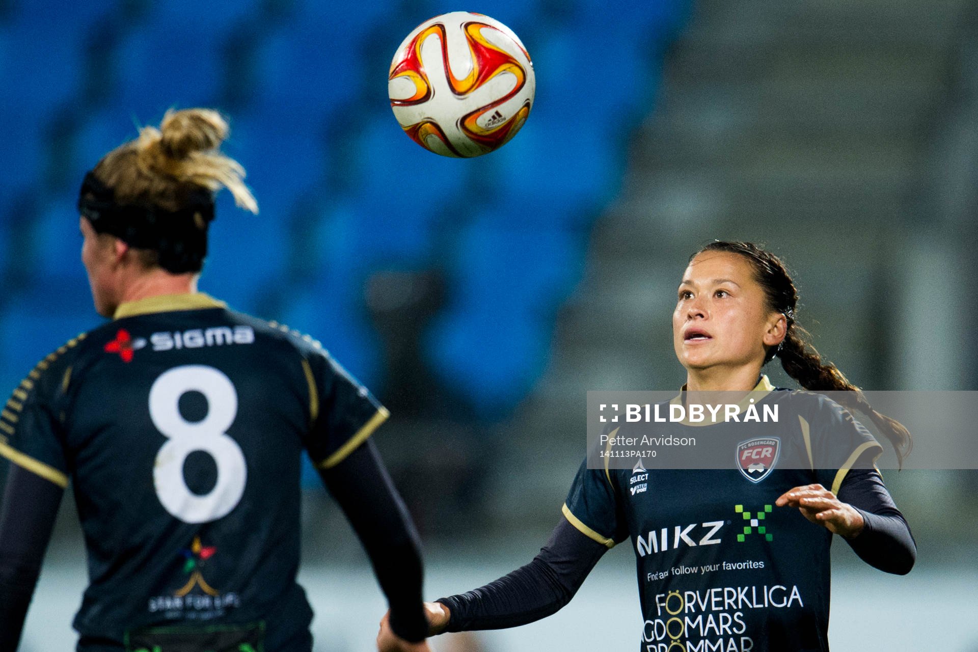 Rosengårds Alexandra Riley