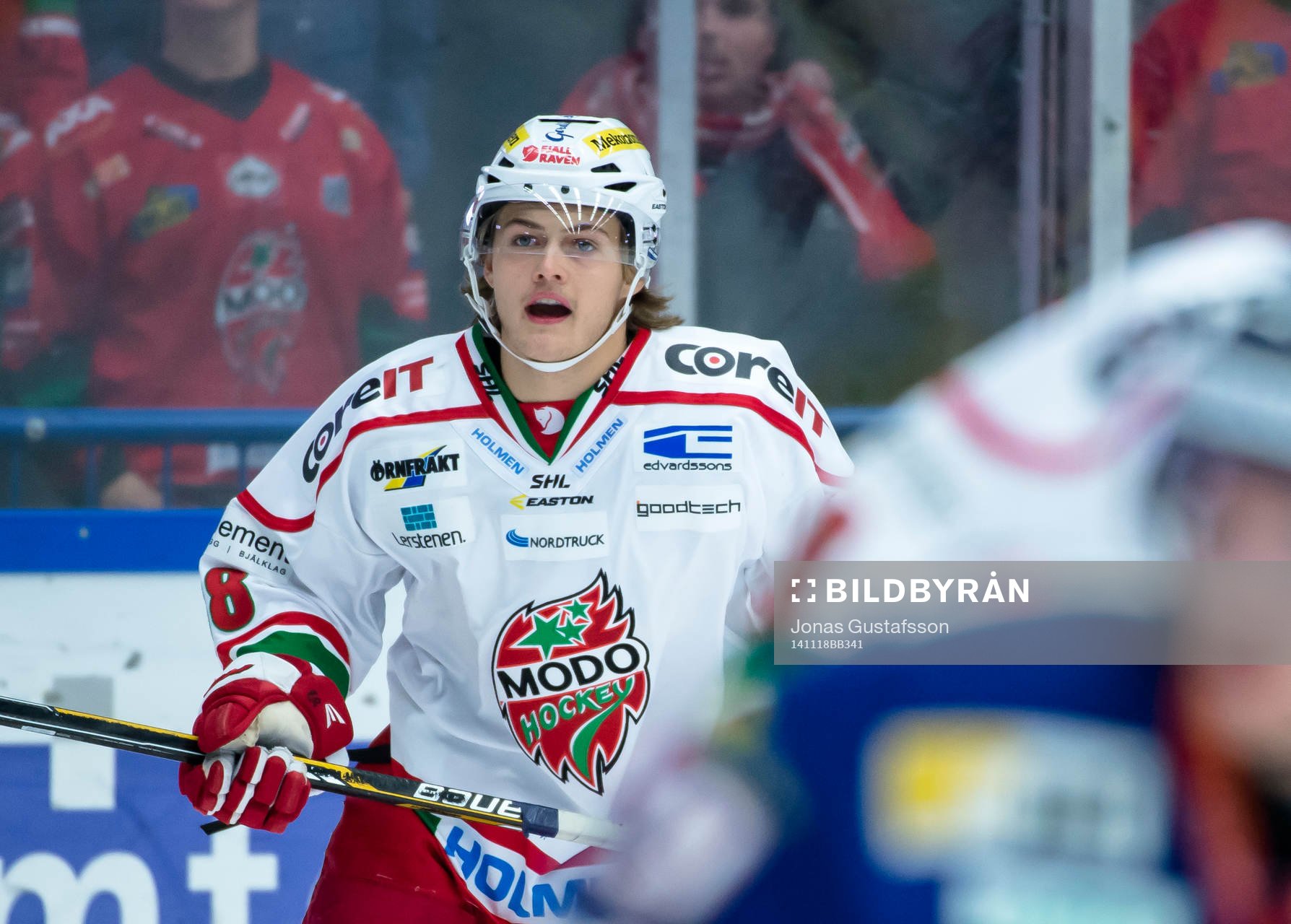 Modos William Nylander