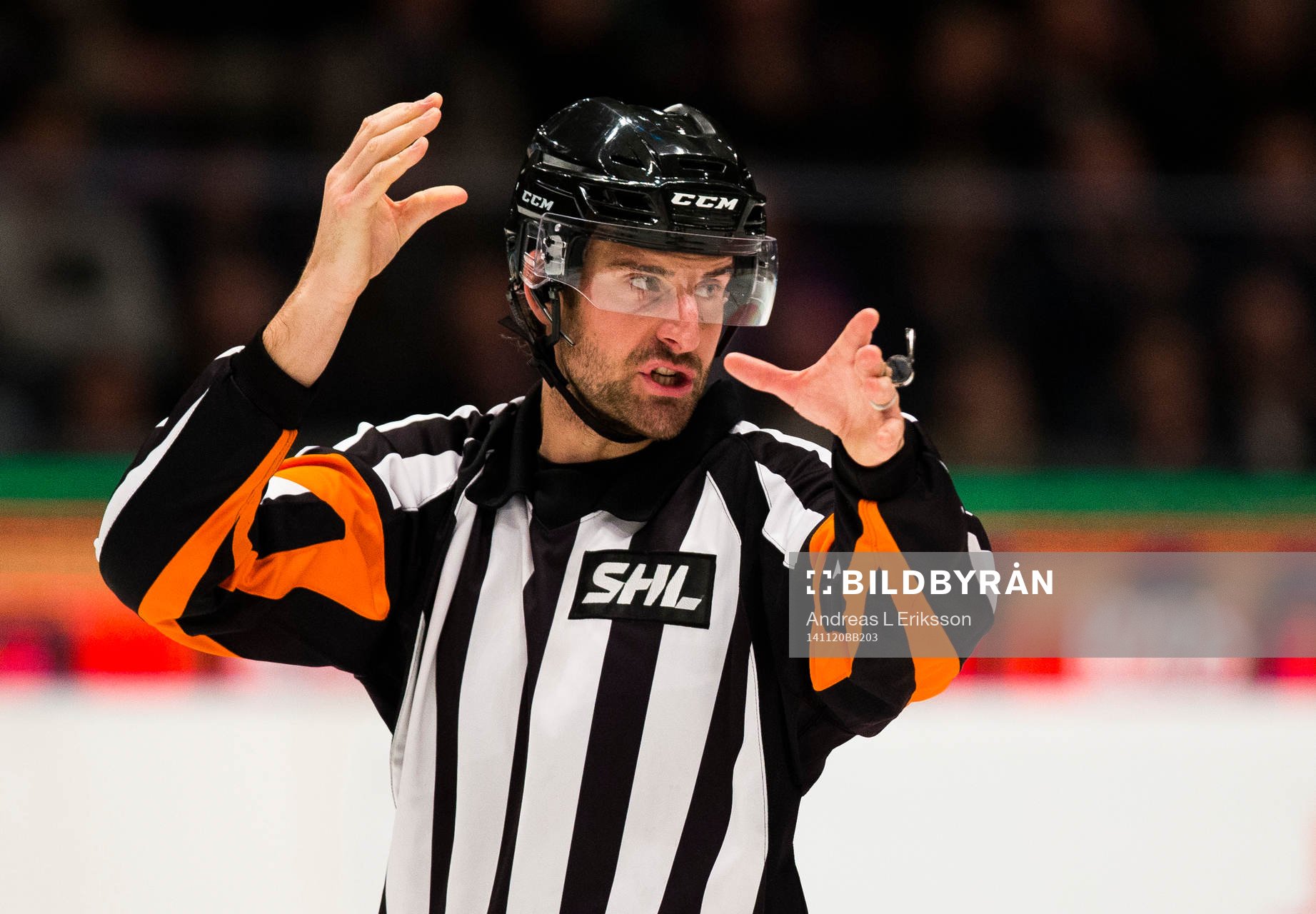 Domare Mikael Sjöqvist