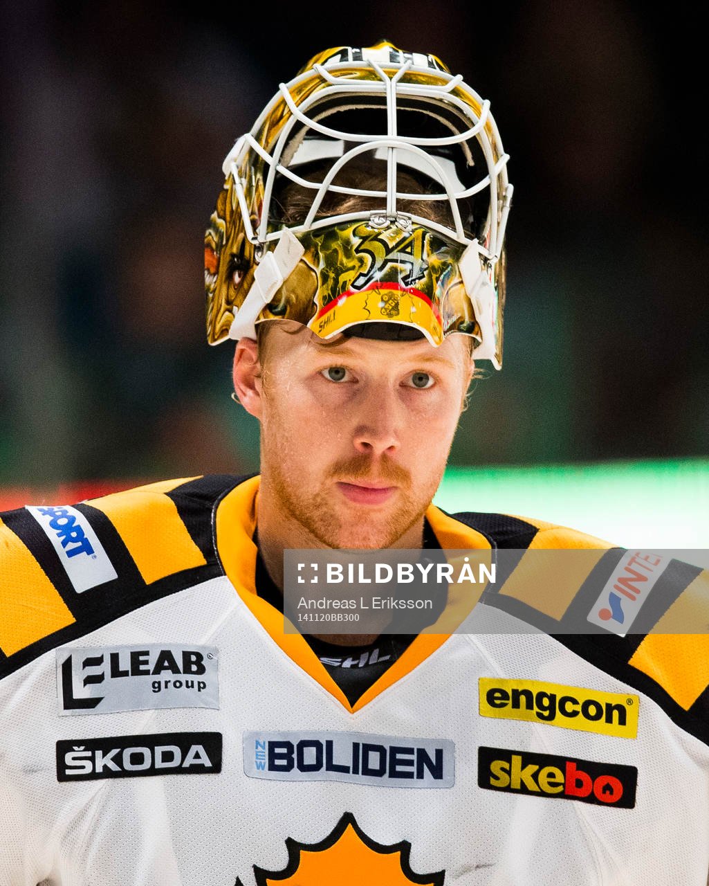 Skellefteås målvakt Erik Hanses