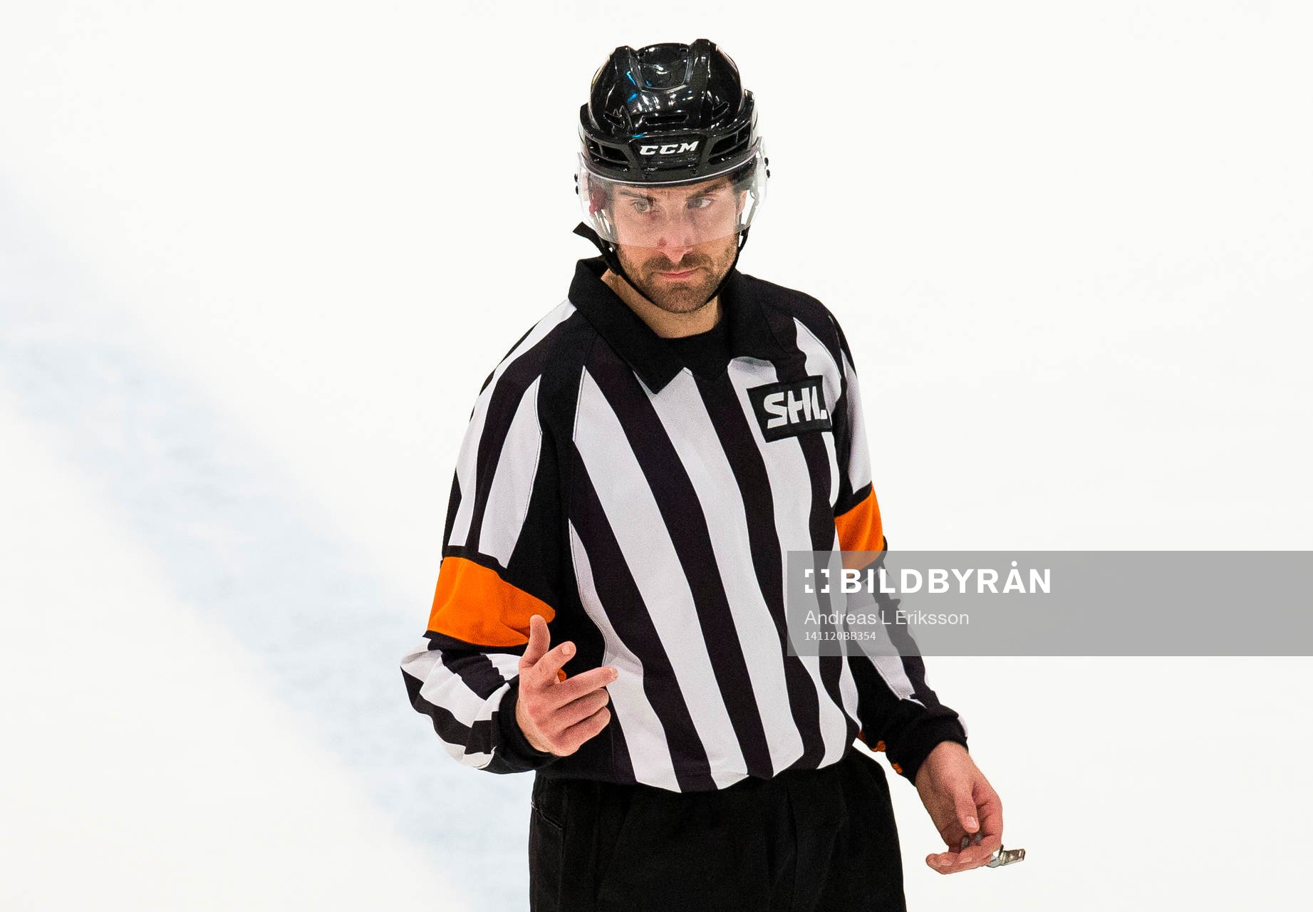 Domare Mikael Sjöqvist