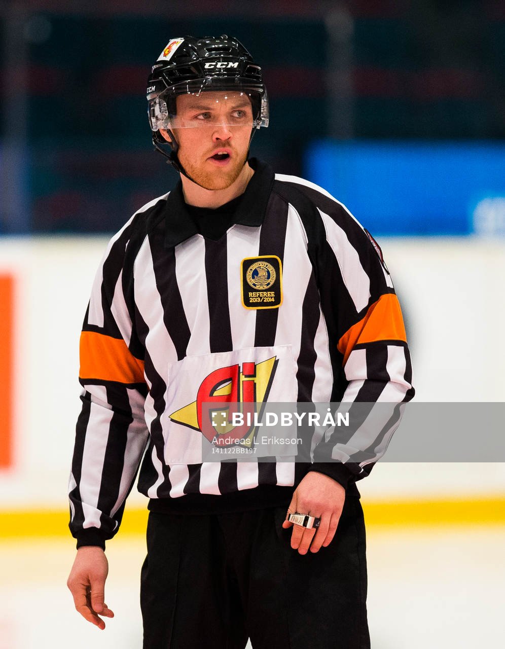 Domare Johan Häll