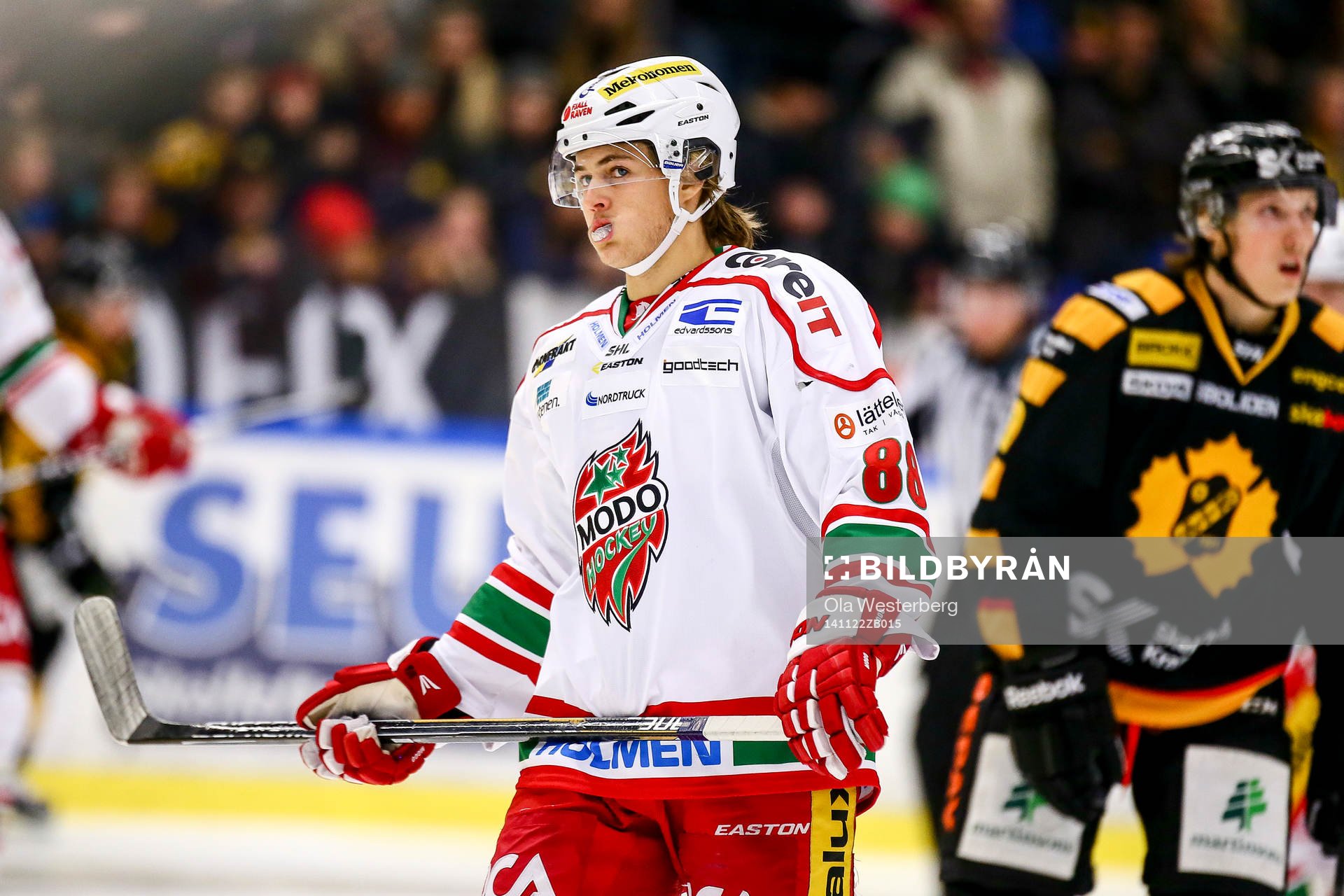 Modos William Nylander