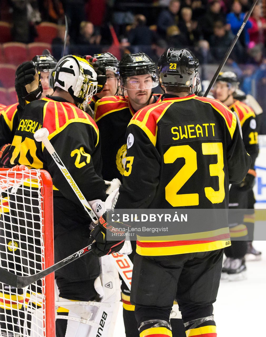 Brynäs spelare jublar
