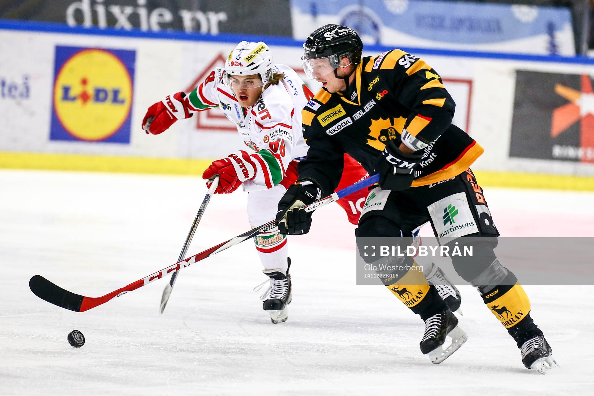 Skellefteås Tim Heed