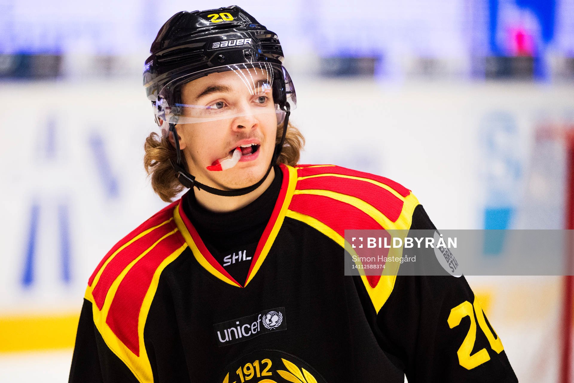 Brynäs Adam Brodecki deppar