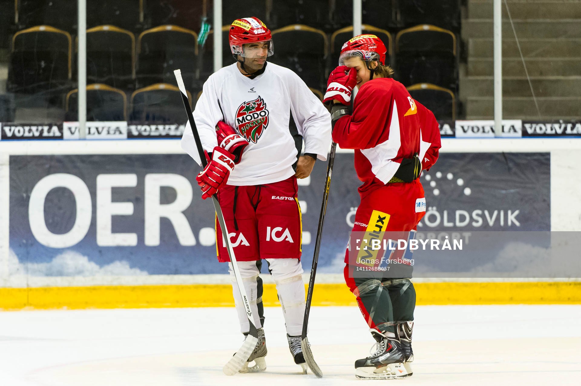 Modos  Donald Brashear och William Nylander