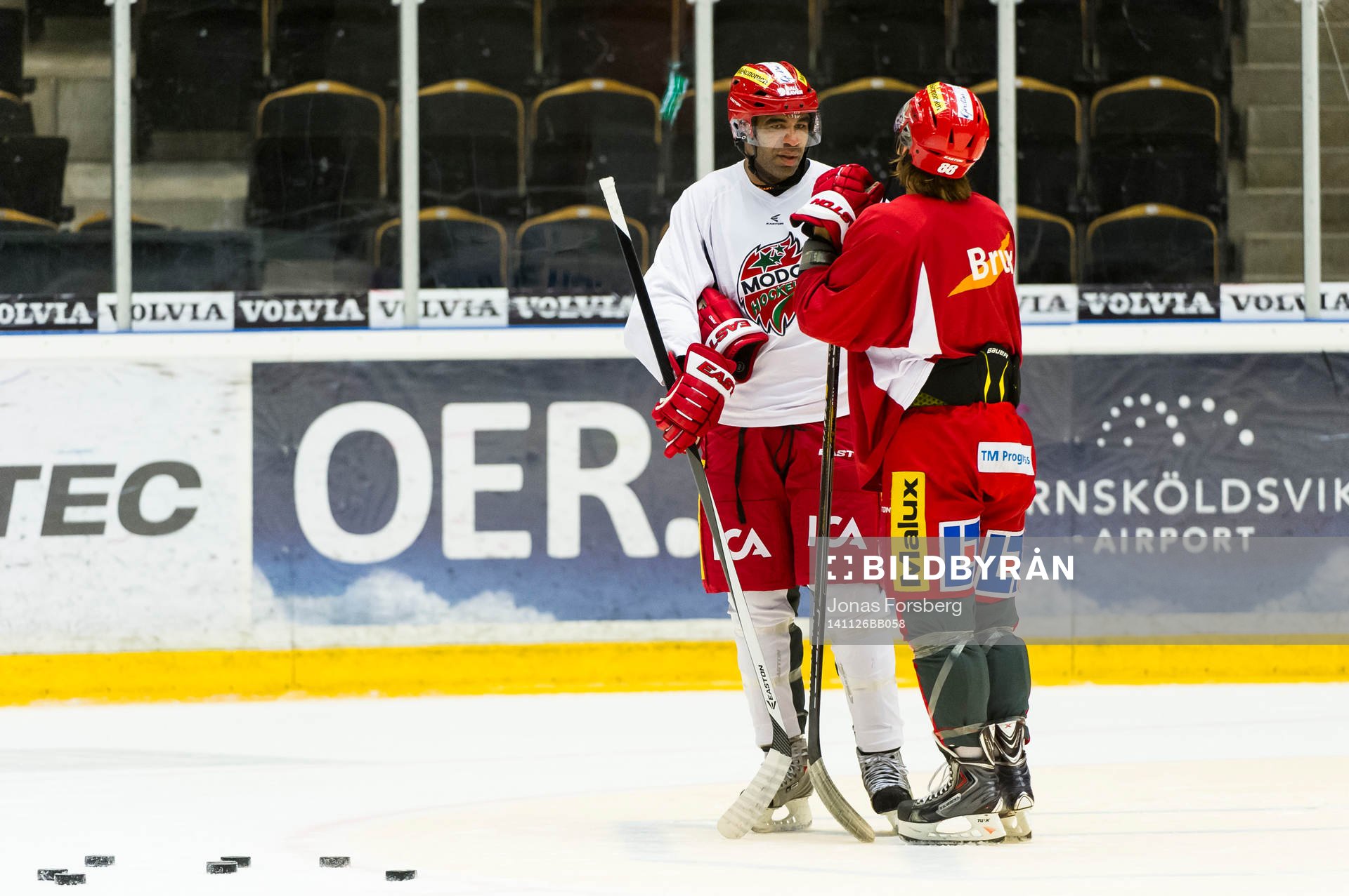 Modos  Donald Brashear och William Nylander