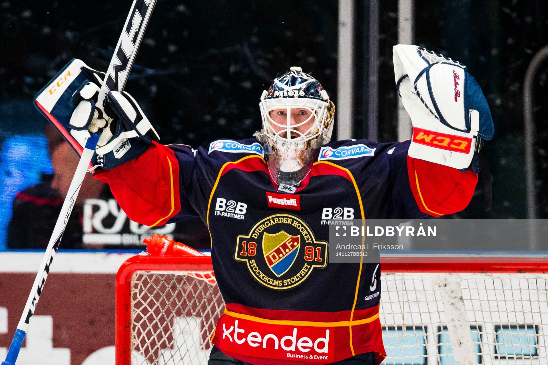 Djurgårdens målvakt Mikael Tellqvist jublar