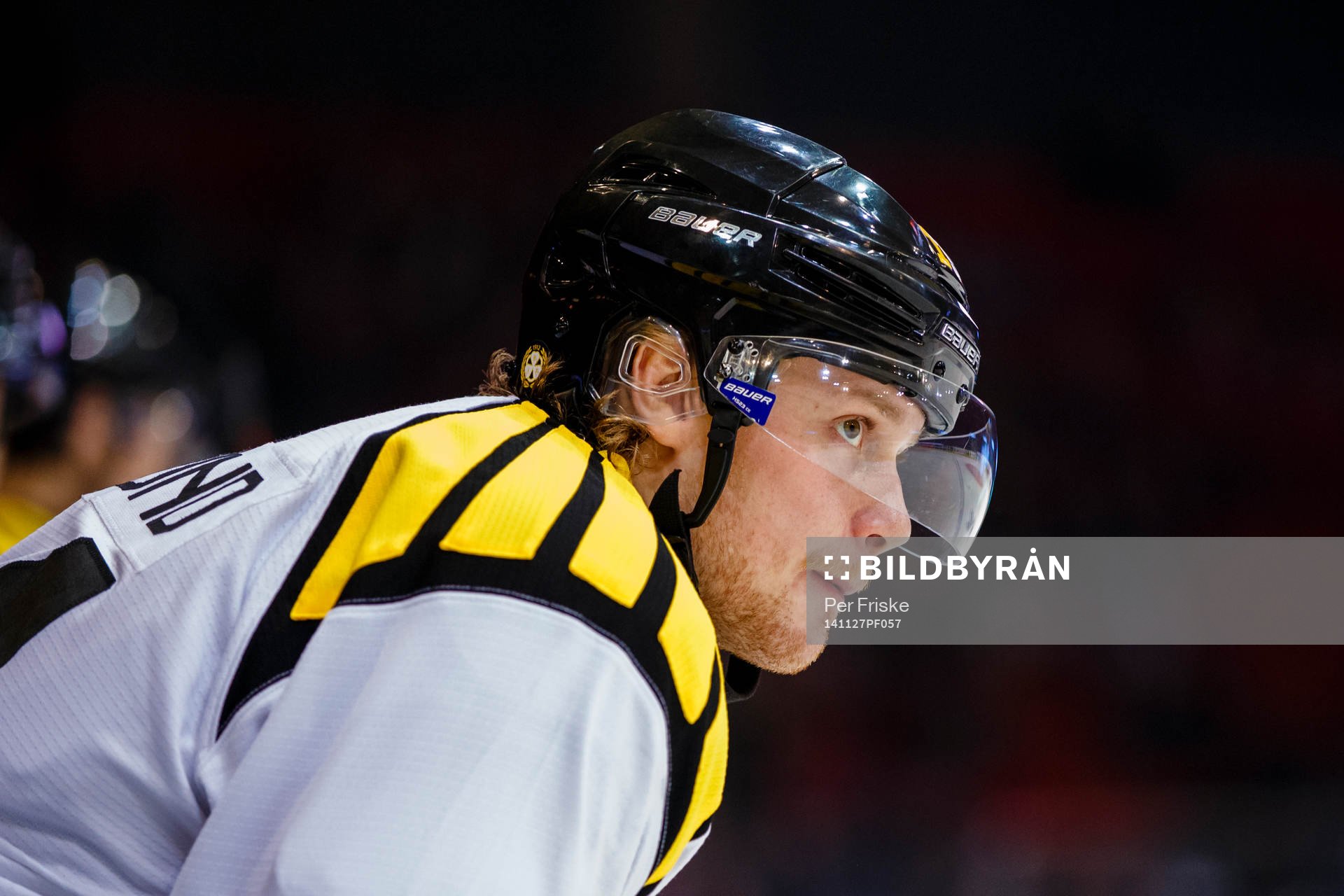 Brynäs David Westlund