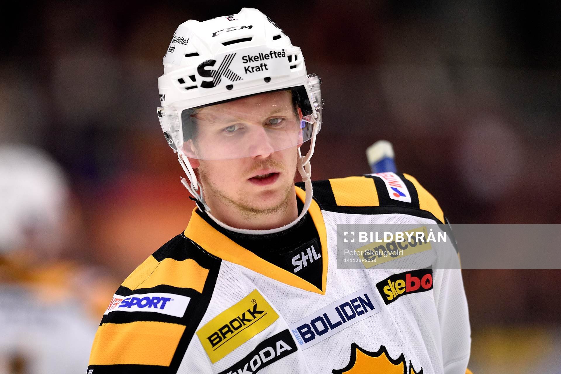 Skellefteås Tim Heed