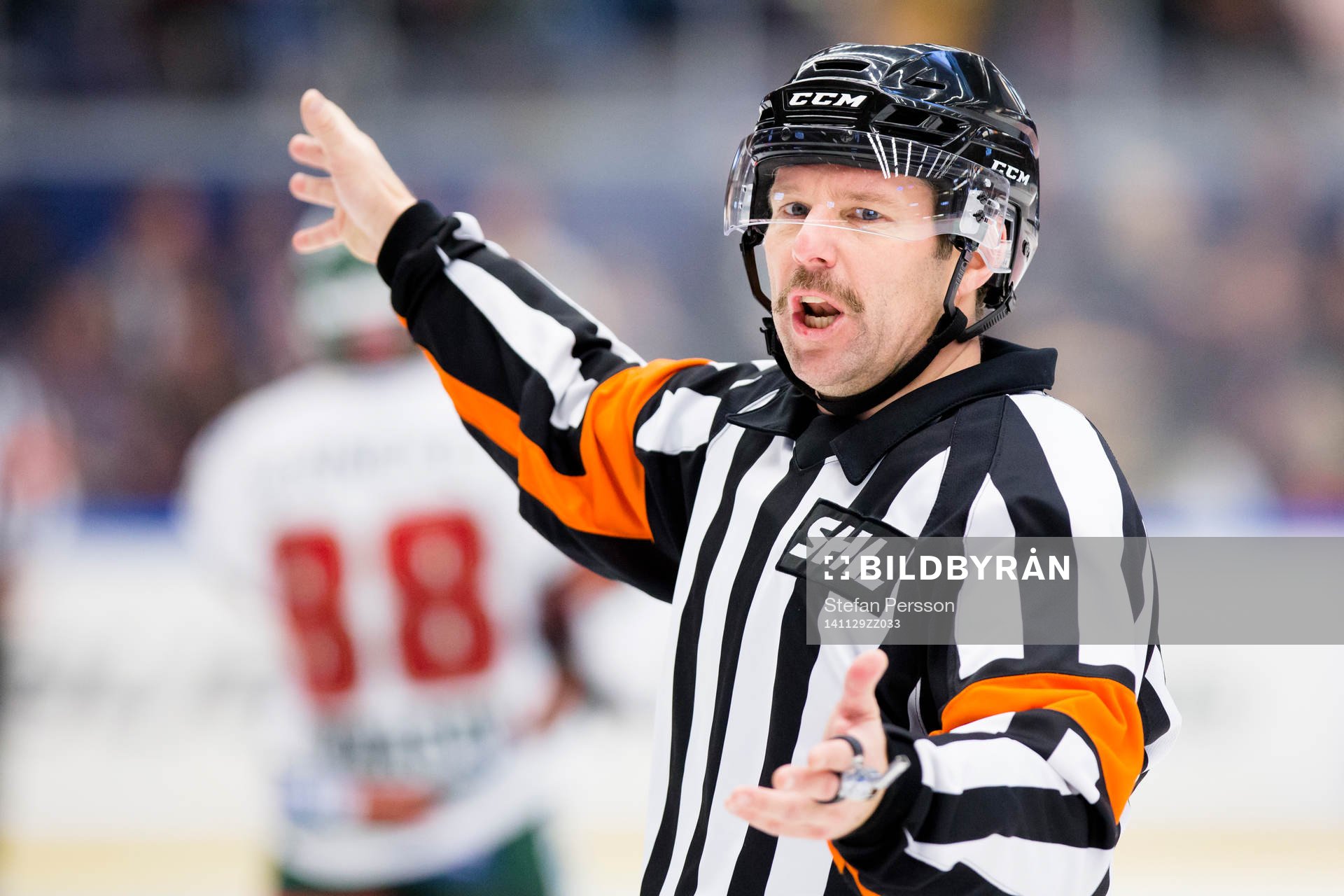 Domaren Wolmer Edqvist