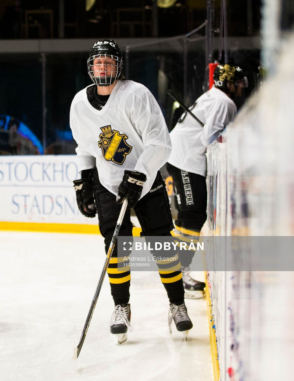 s Alexander Nylander Altelius